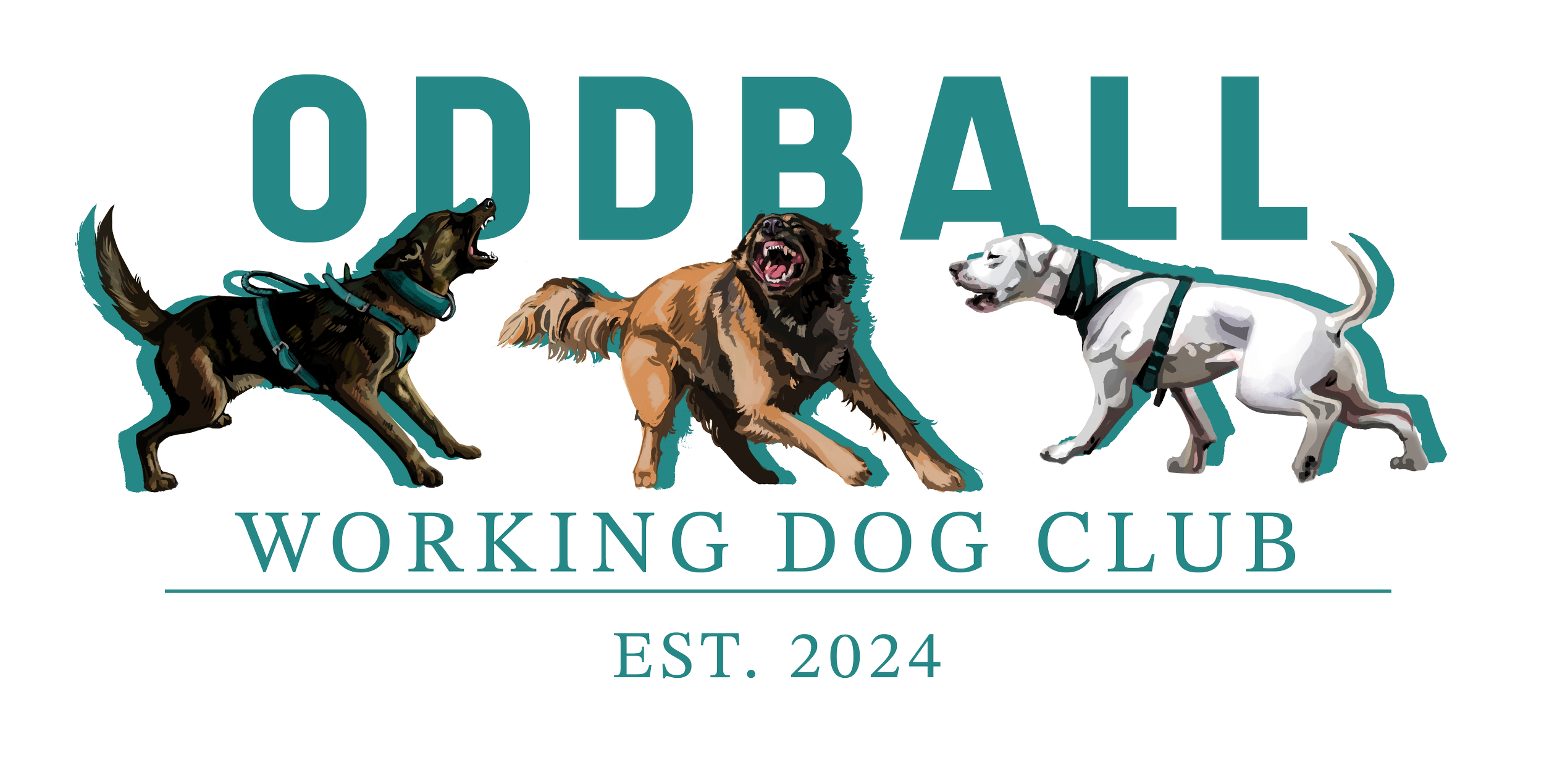 All Teal final.png