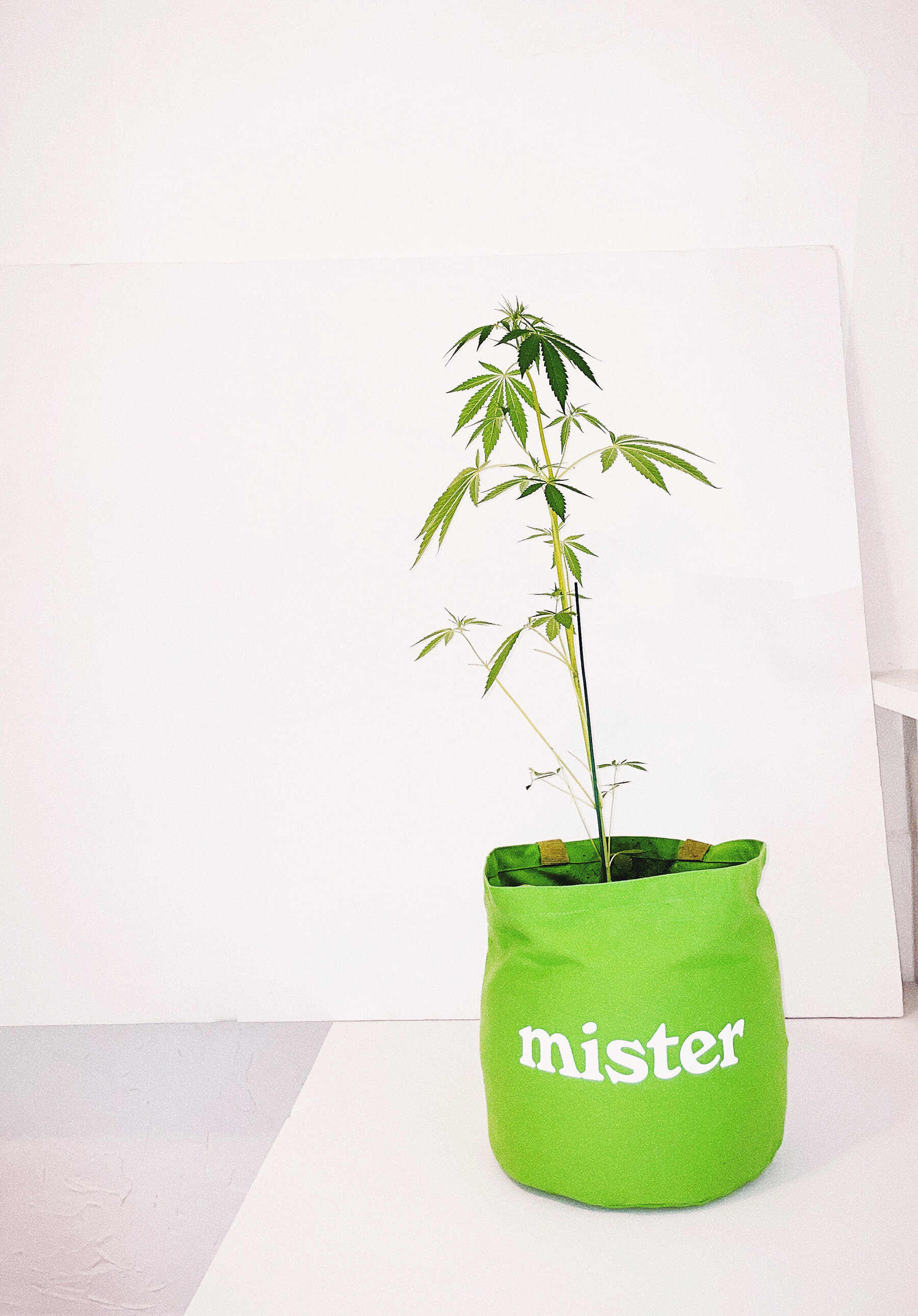 Mister Green - Grow Bag / Tote V2 - Large — Mister Green Life Store