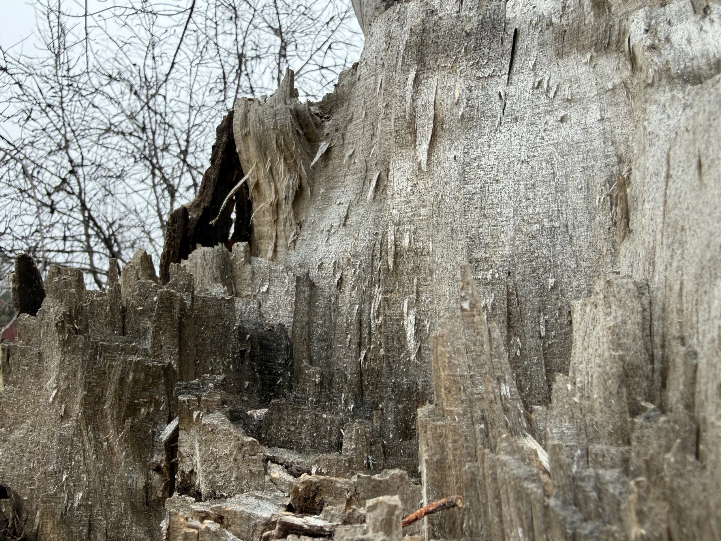 Letters to Myself: Entry Forty-Four