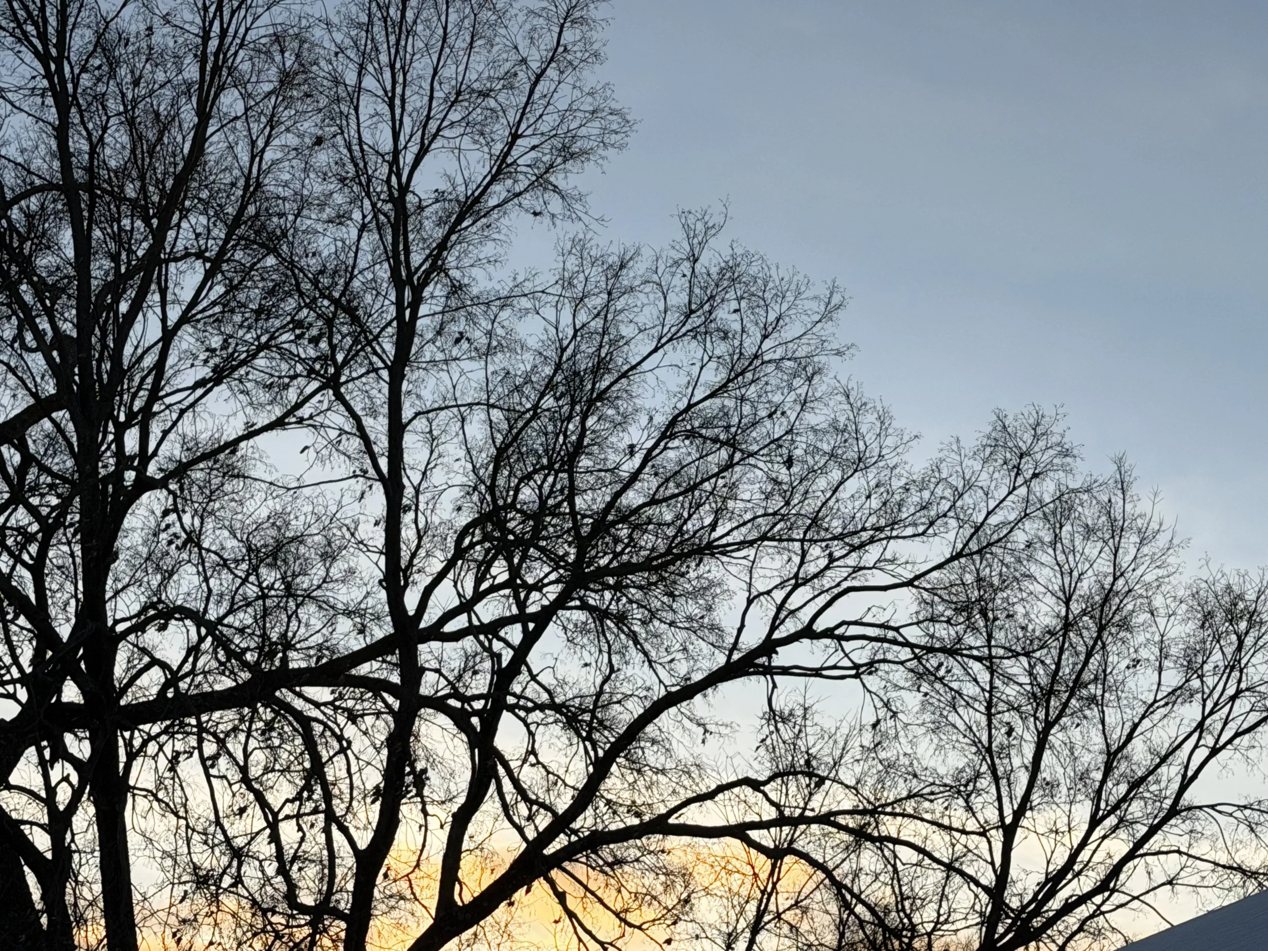 Letters to Myself: Entry Thirty-Four