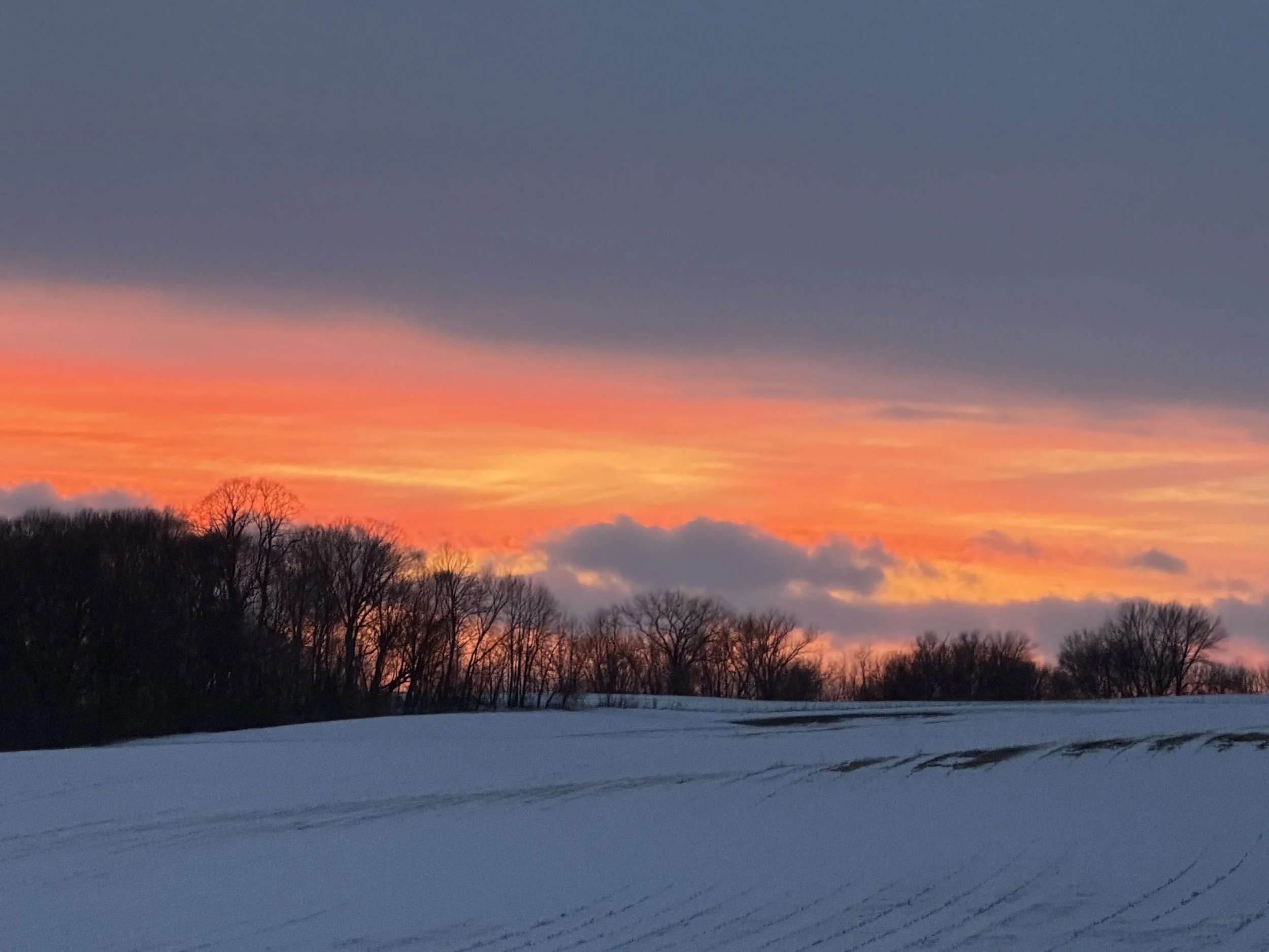 Letters to Myself: Entry Forty-One 