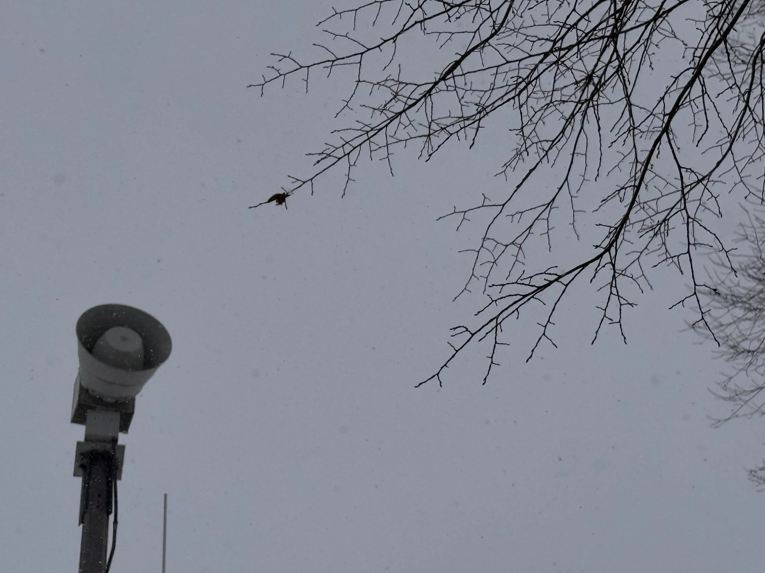 Letters to Myself: Entry Twenty-Nine