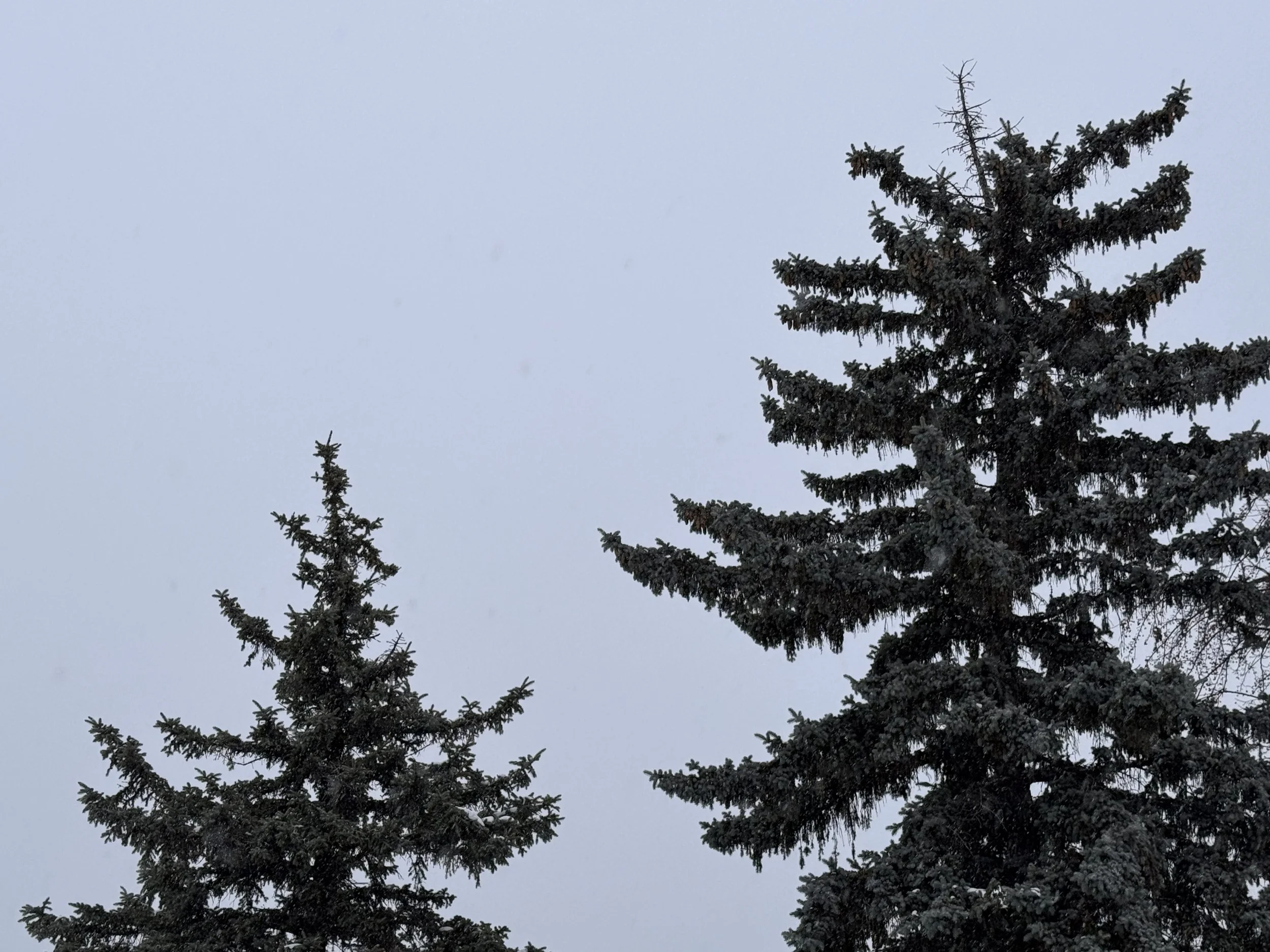 Letters to Myself: Entry Thirty