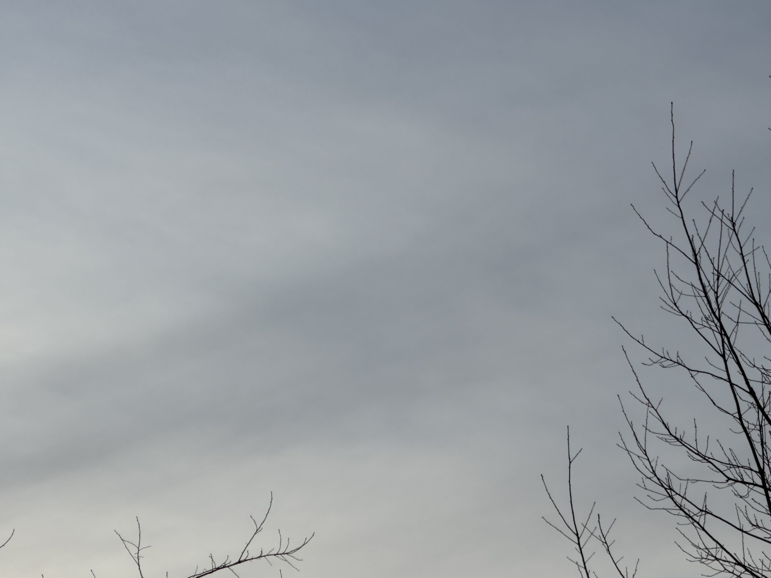 Letters to Myself: Entry Thirty-One