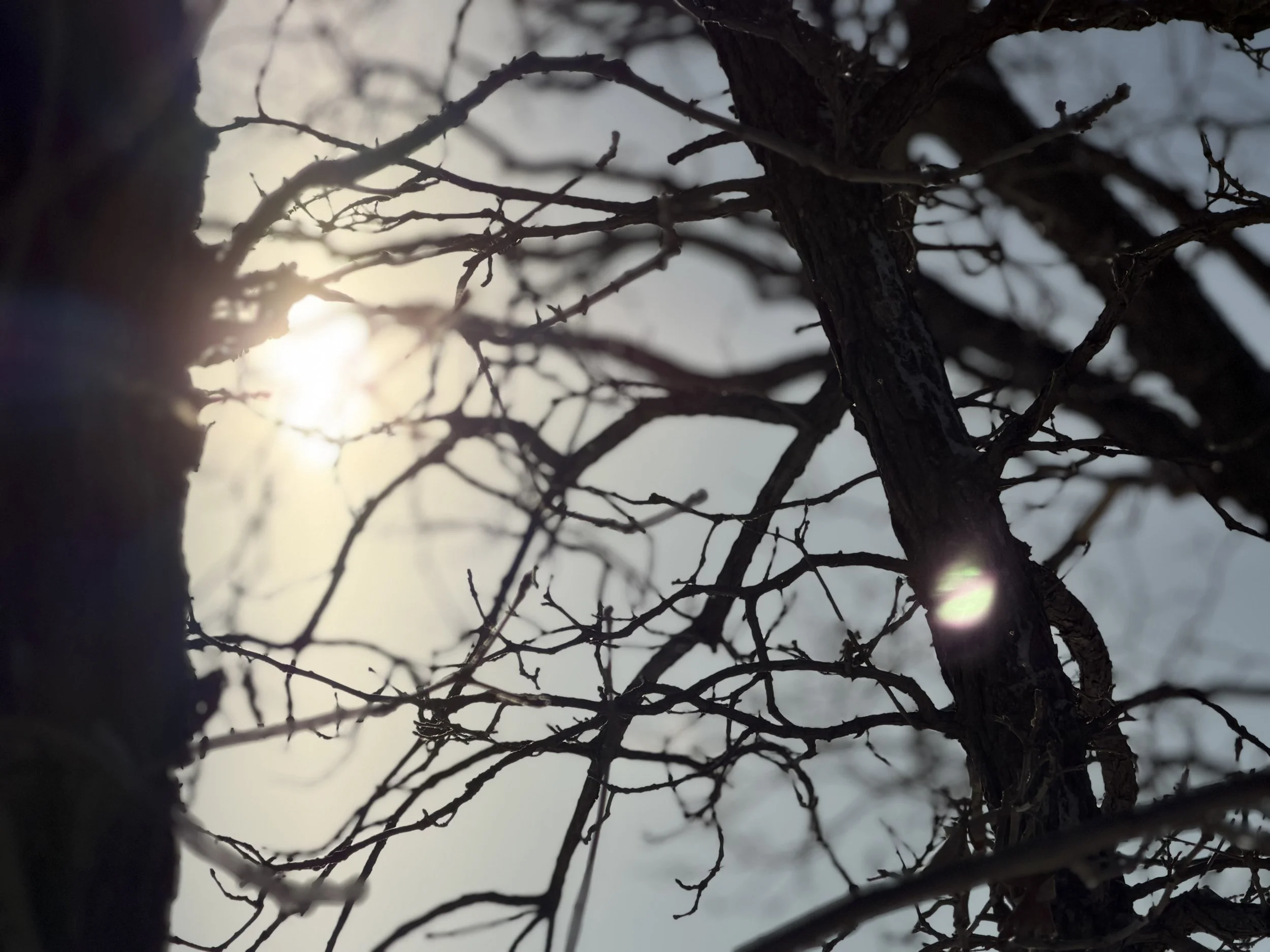 Letters to Myself: Thirty-Three 