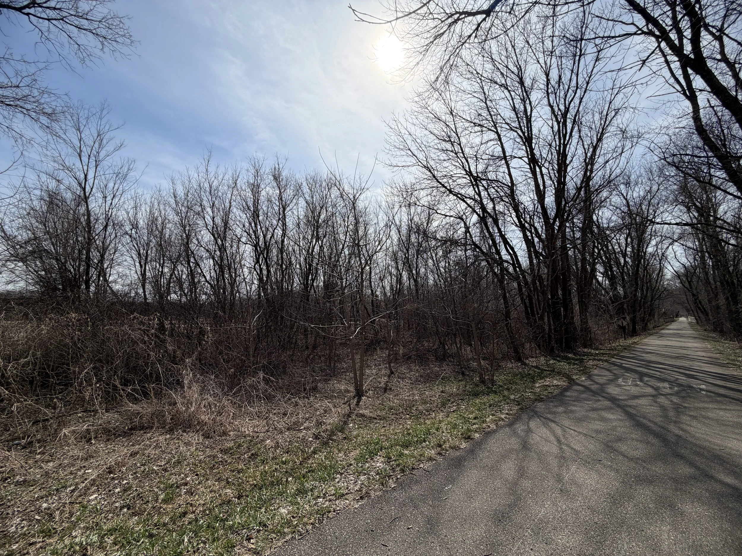 Letters to Myself: Entry Forty-Seven
