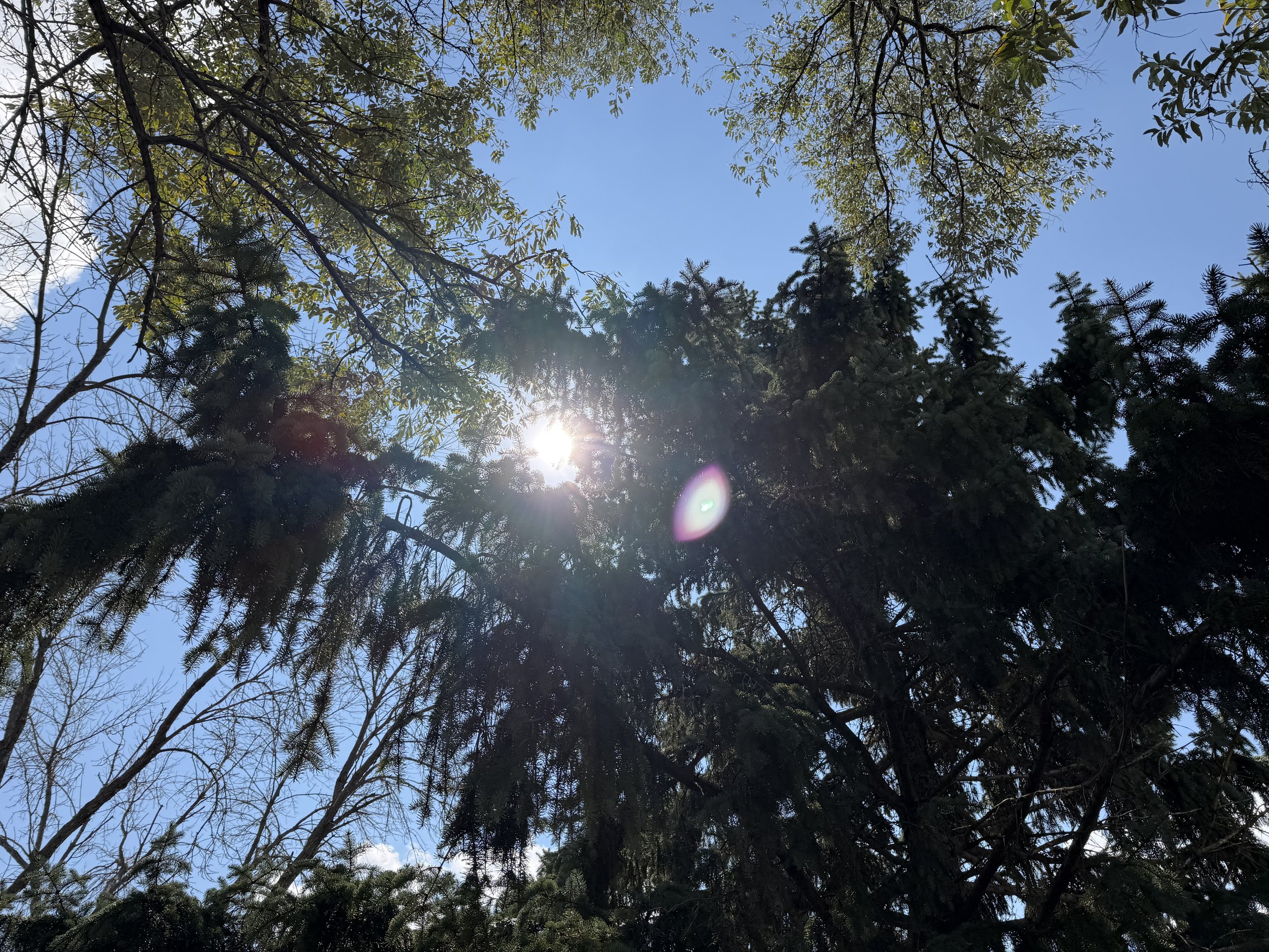 Letters to Myself: Entry Sixty-Eight