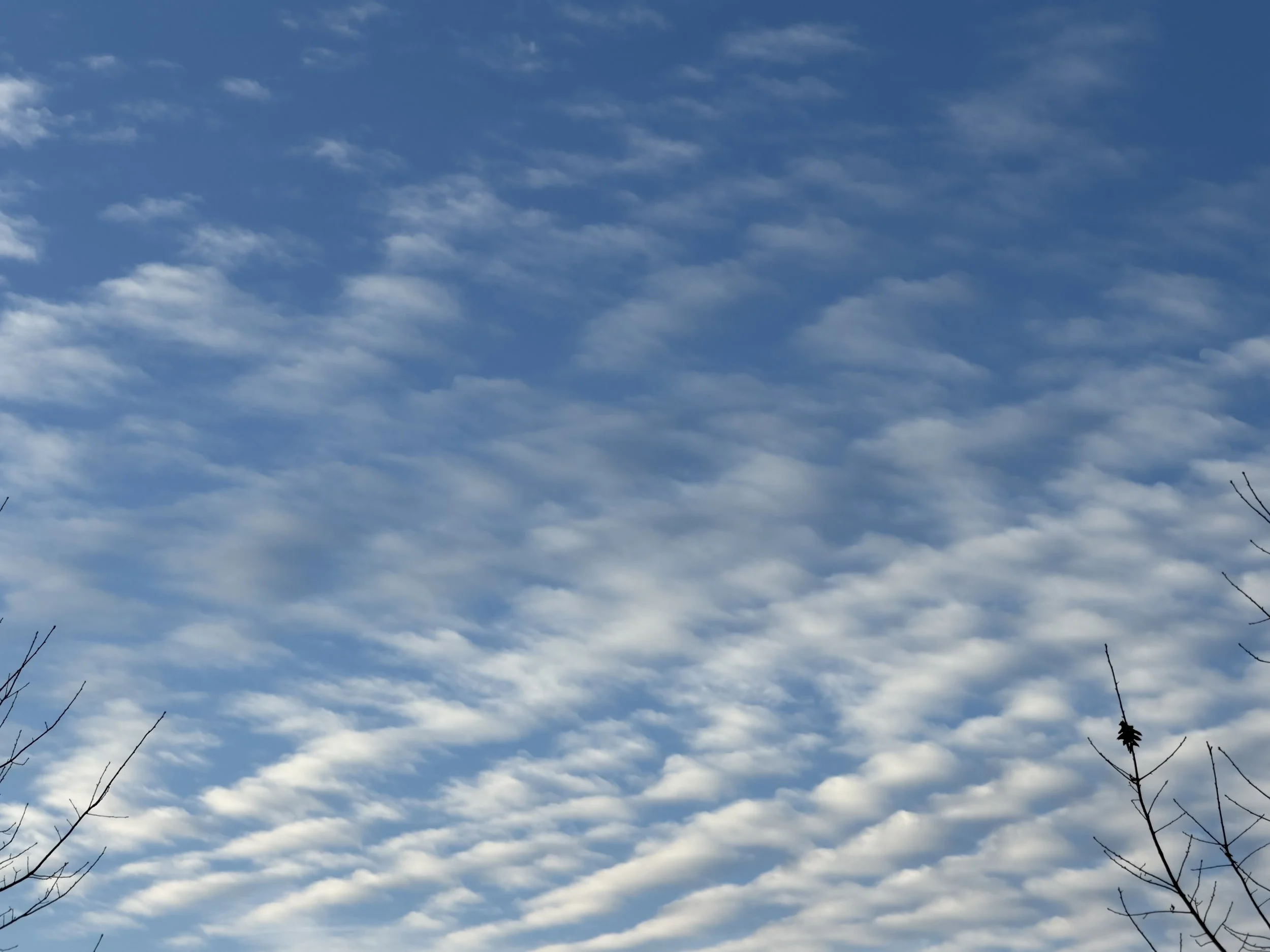 Letters to Myself: Entry Thirty-Nine