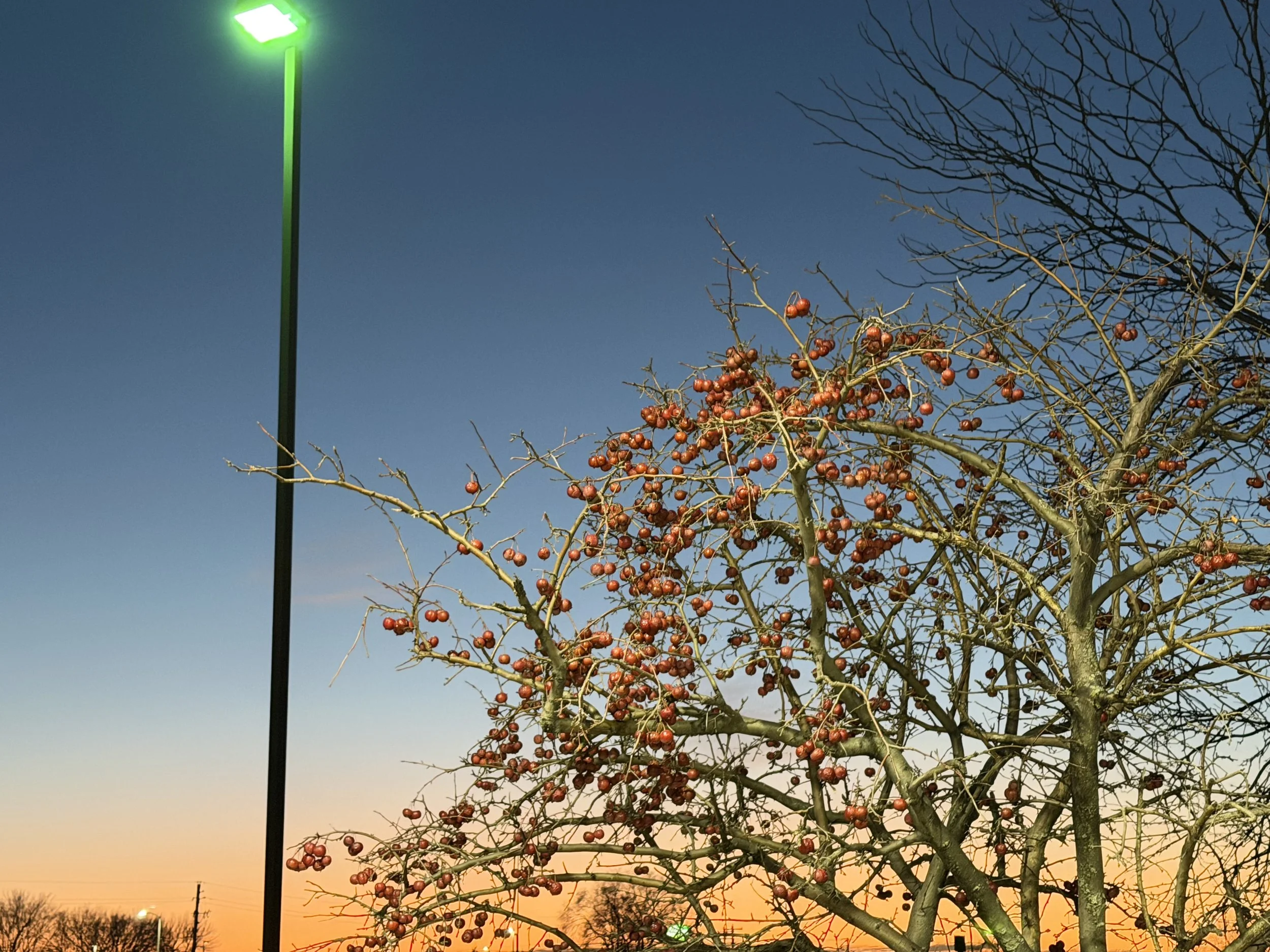 Letters to Myself: Entry Thirty-Six