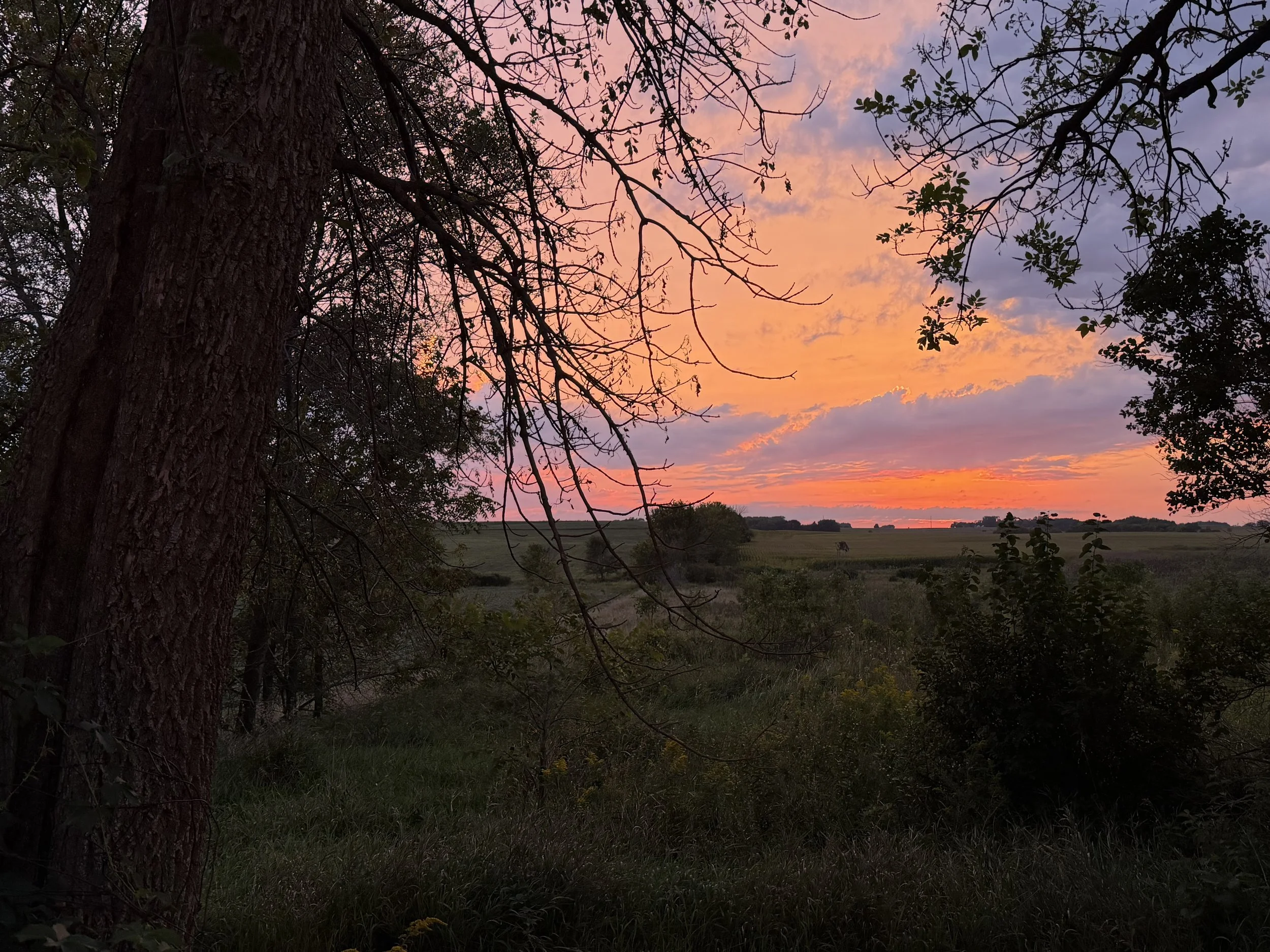 Letters to Myself: Entry Sixty-Nine