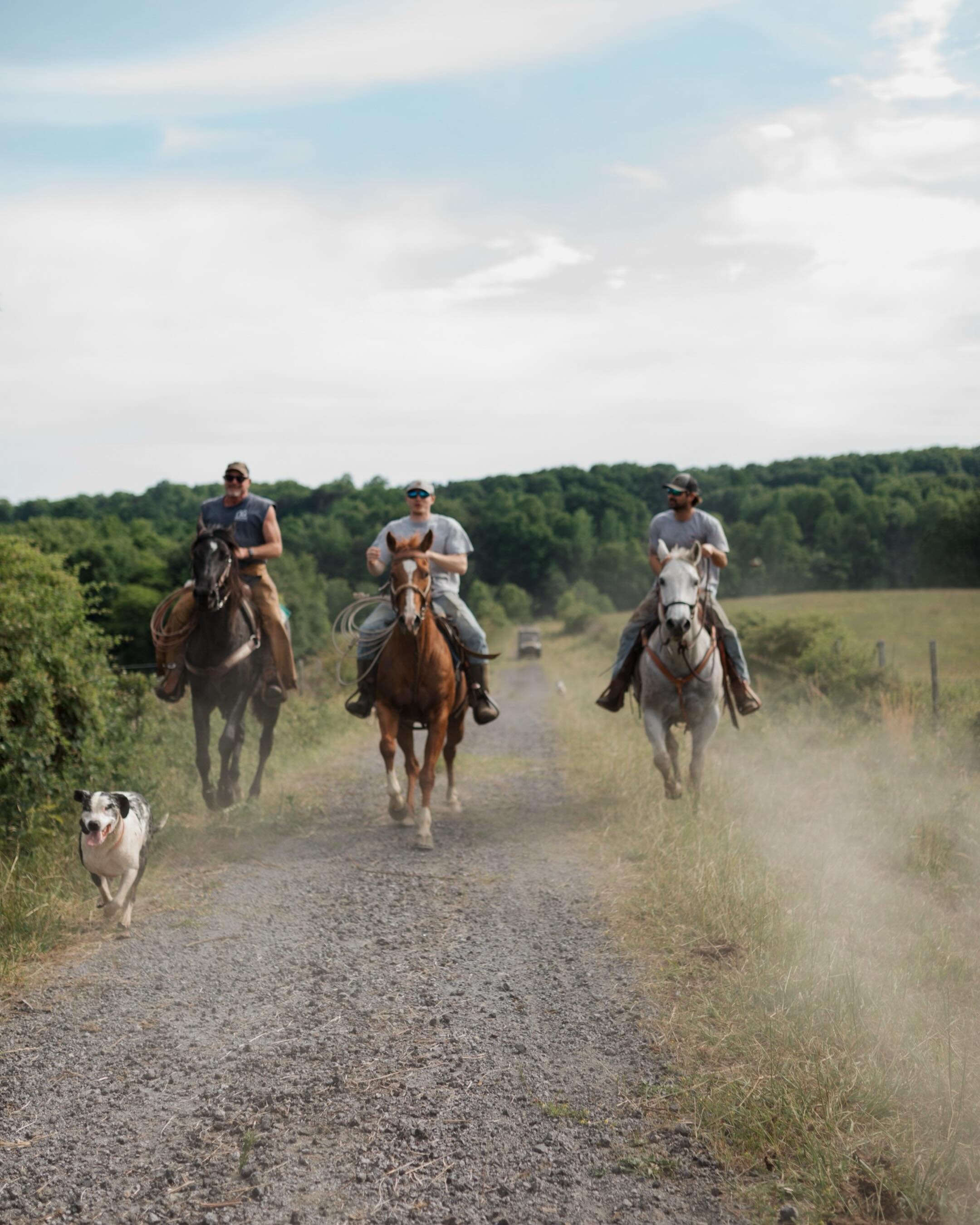 Movin&rsquo; Day. | Magic Cattle Co.