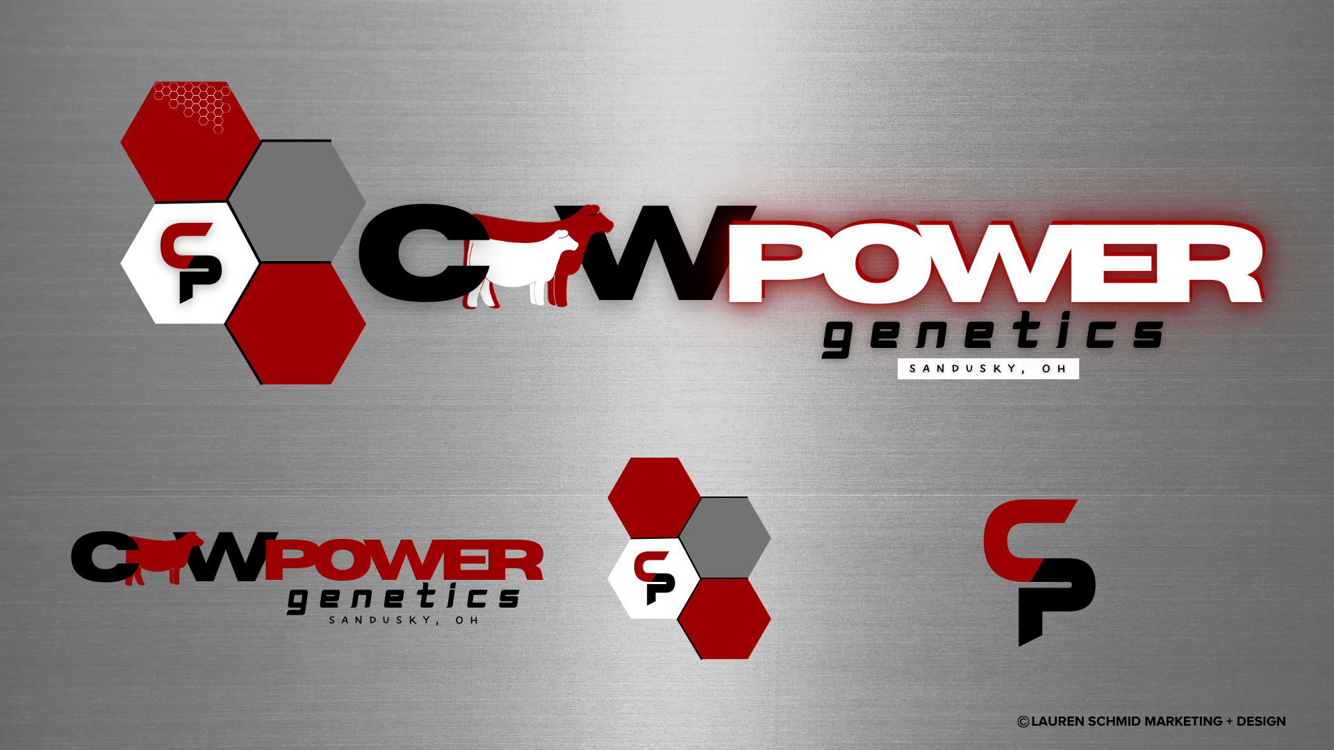 Final Primary With Background.png