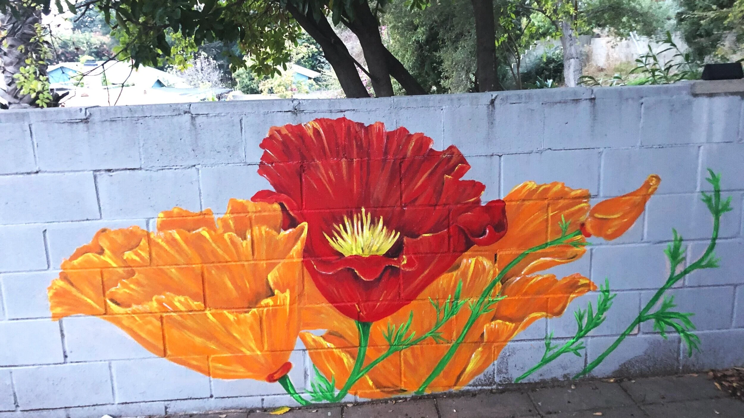 IMG_5858.jpg