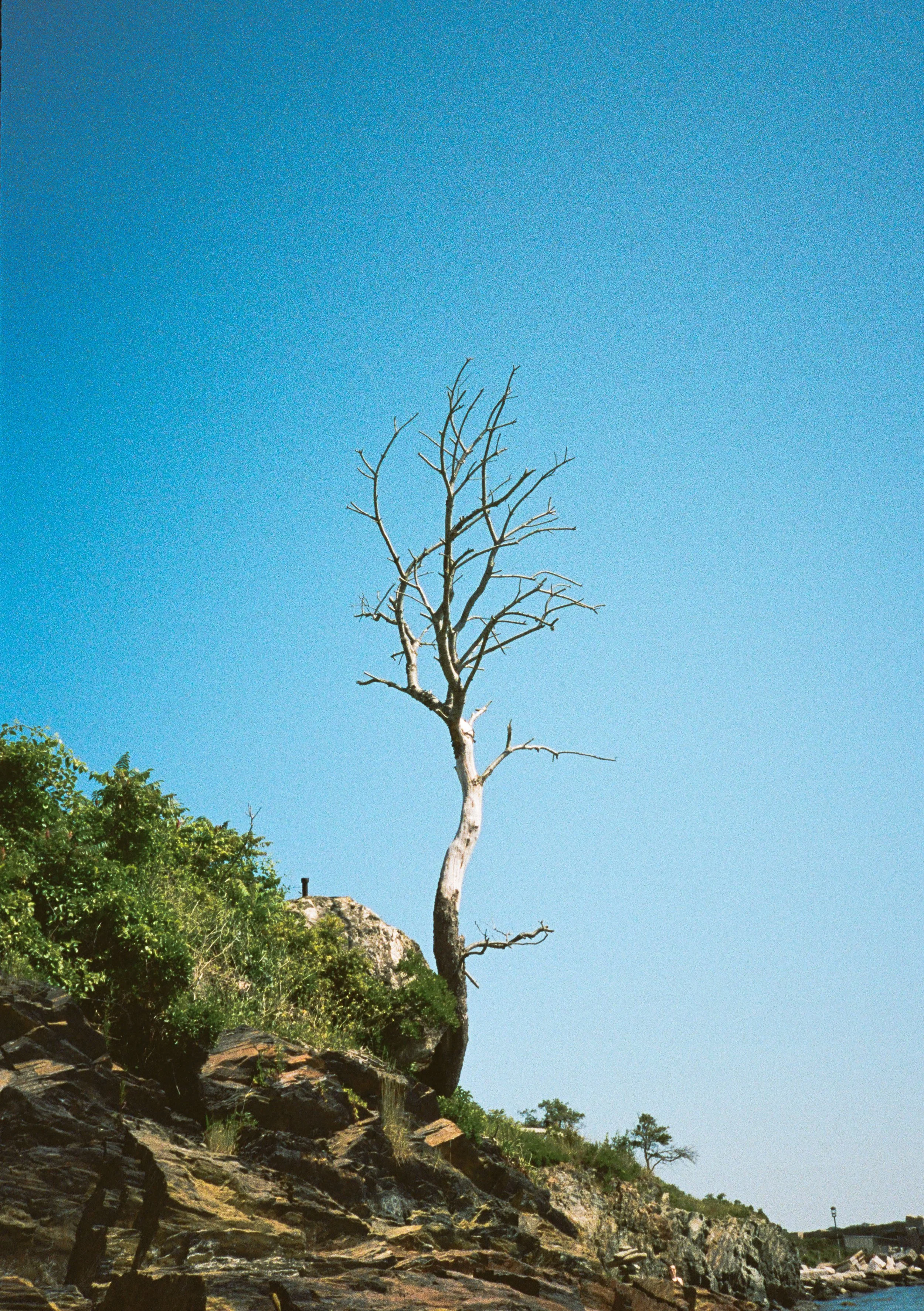 000031050028.jpg