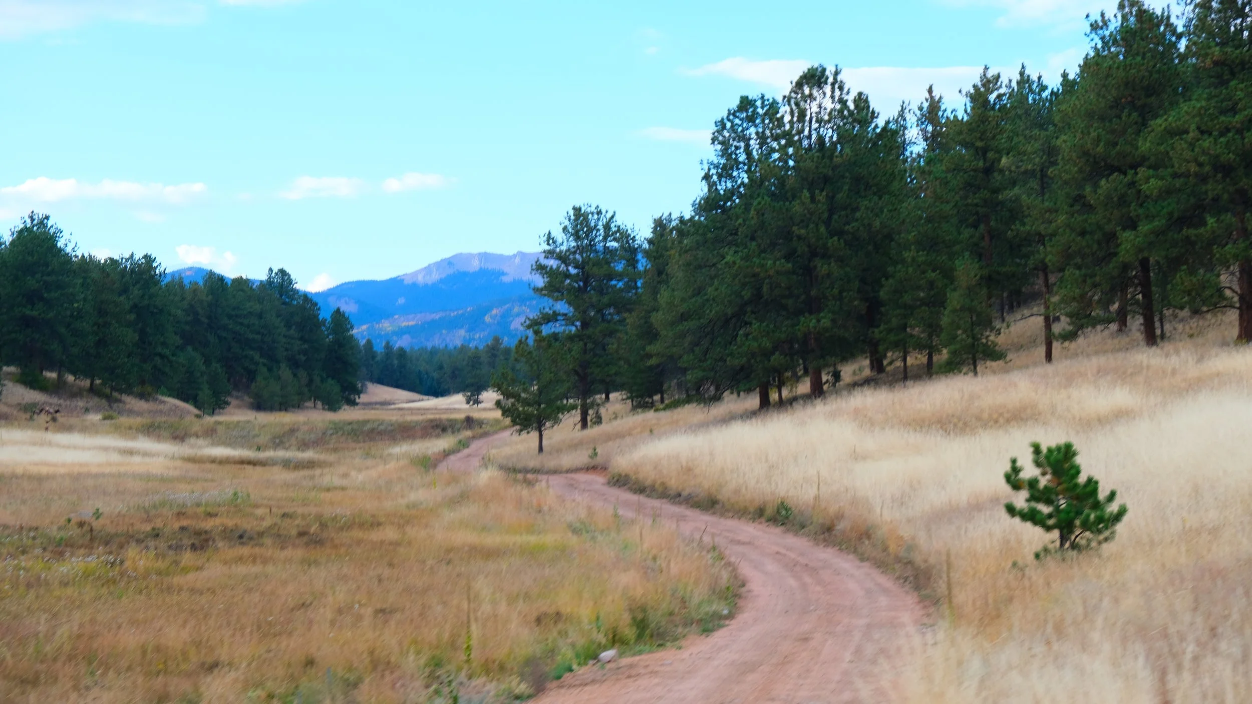 Gallery 3 — Lone Rock Retreat