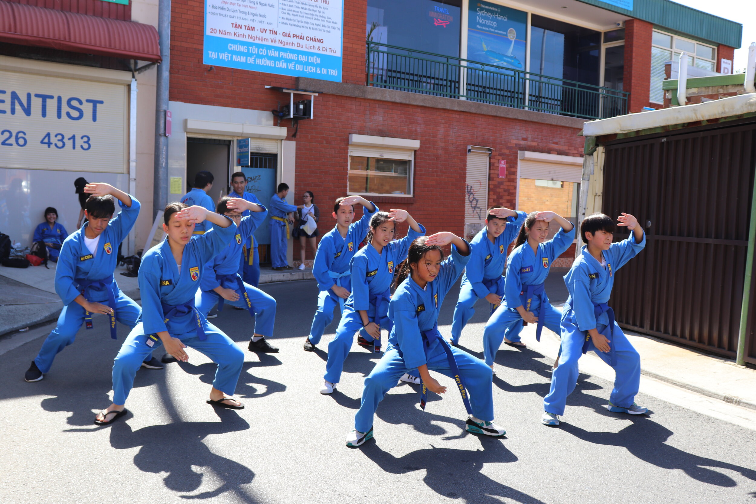 Vovinam Cabramatta Demo Practice