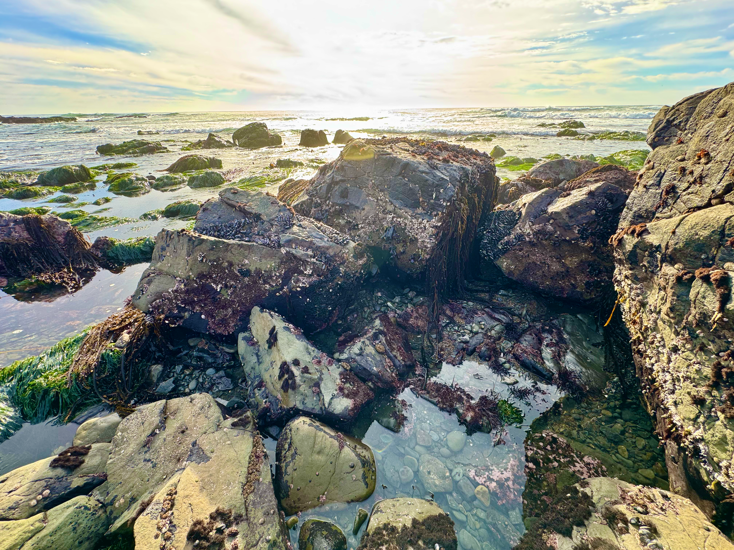 The tide pools are exposed at low tide and ar a marvel of marine life.  At first glance, they are still, but watch for a few moments and you see that they are brimming with movement and life.