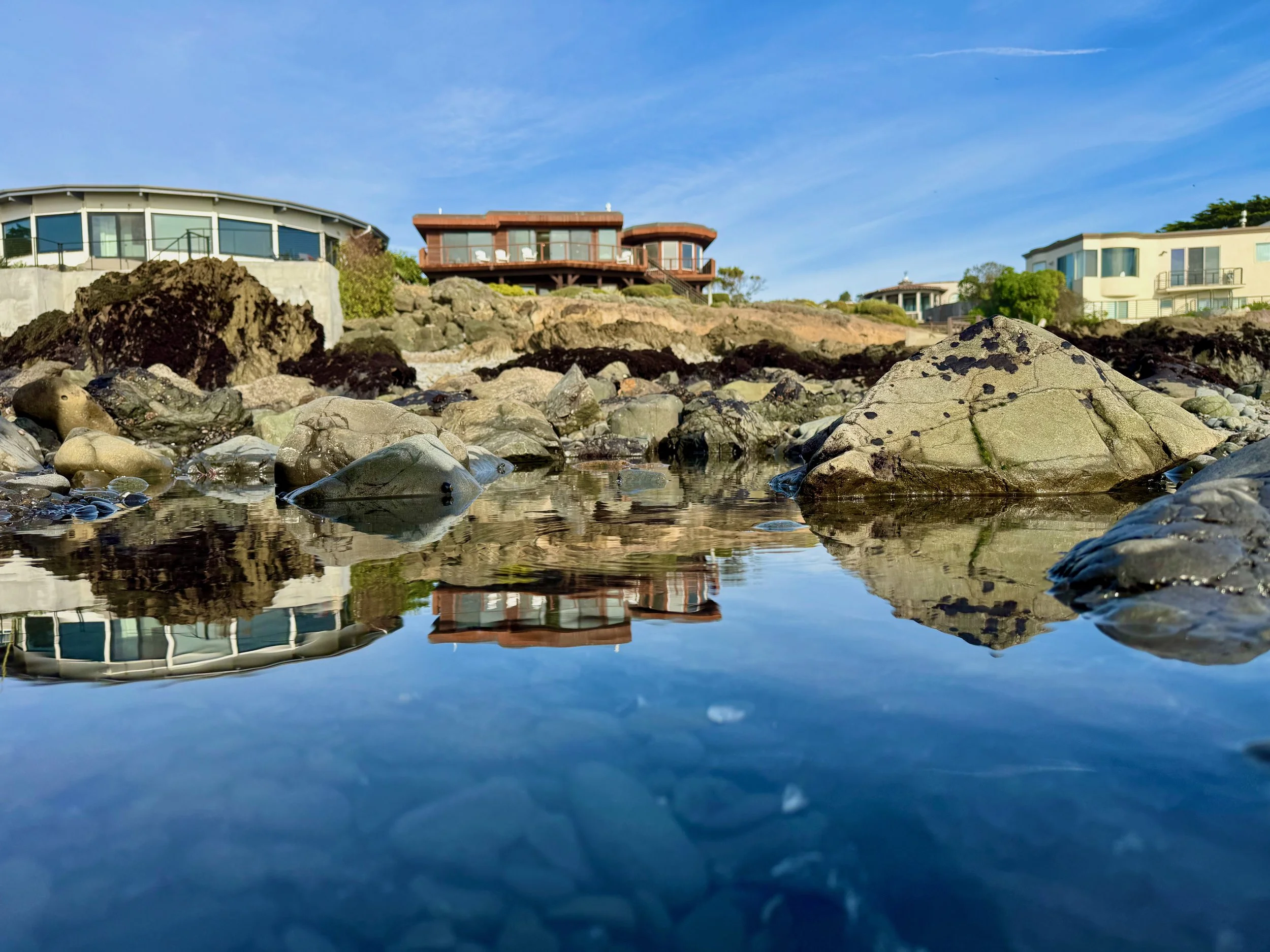 Fantastic tide pools in front of the house are exposed at low tide, teeming with life, a delight to explore and directly accessible from the beach path & stairs next to the house.