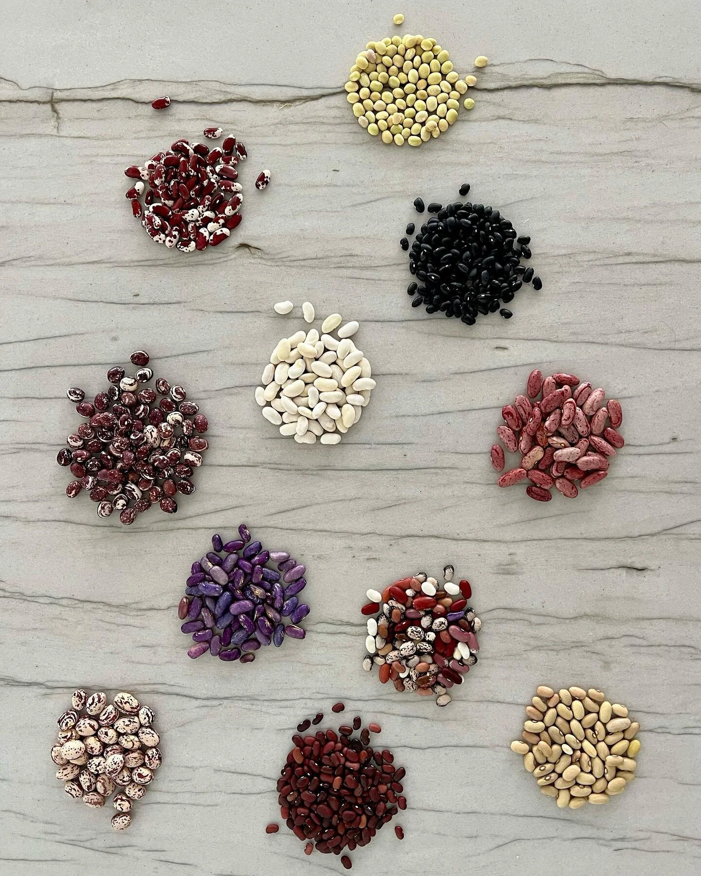 This snowy weather has finally given us time to finish shelling our 2022 dry bean harvest! Shelling dry beans is a surprisingly enjoyable task, probably because it means we finally get to sit and rest (usually in front of a fire) after the busy growi