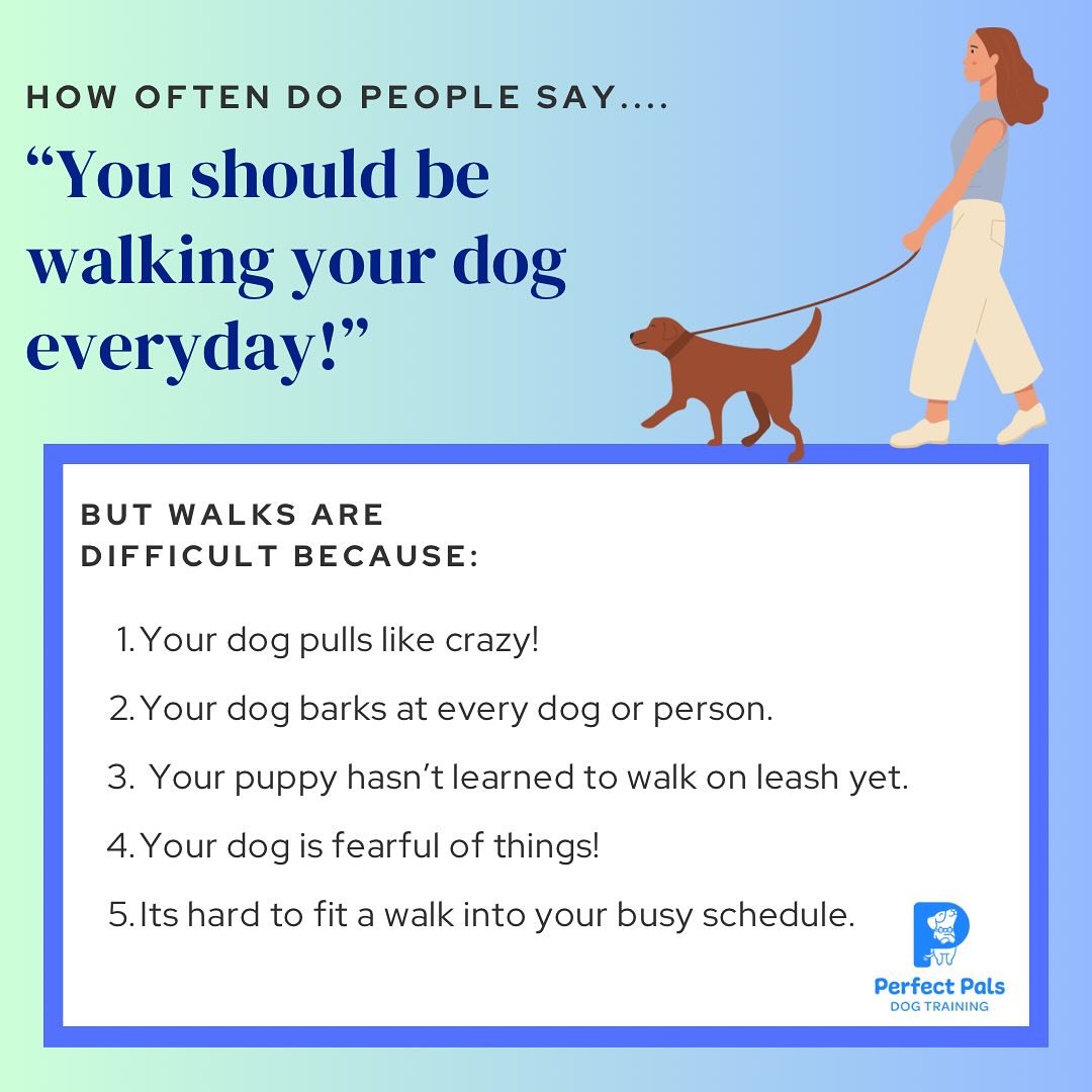 🦮I hear this almost everyday! But who started this rumor that we need to walk our dog everyday!? 

✅ Yes, exercise is very important for dogs! And different dogs, need different types, levels and amounts of exercise. But it doesn&rsquo;t always have