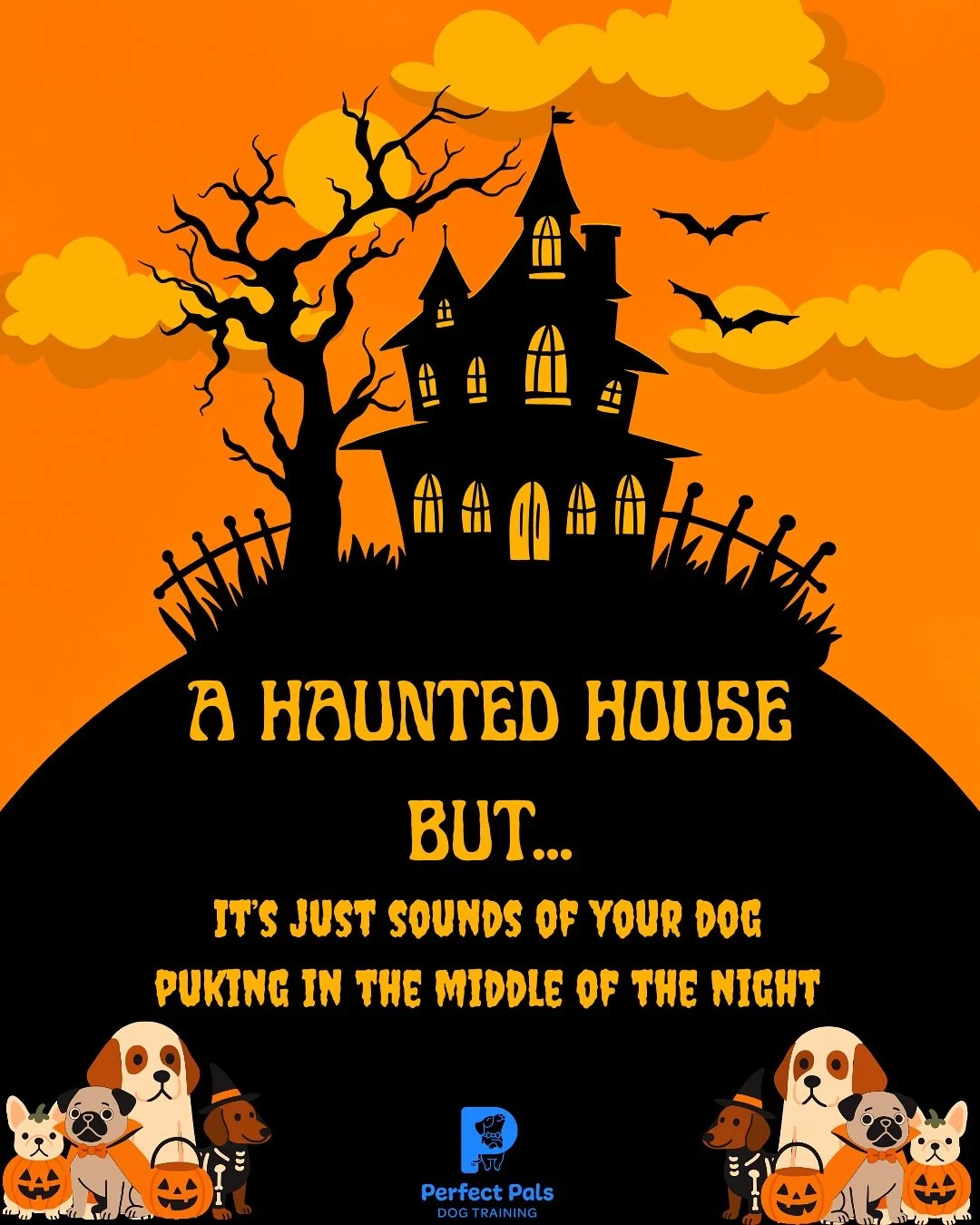 👻 The scariest things of all time ….🫠
🎃What’s in your scariest haunted house?!