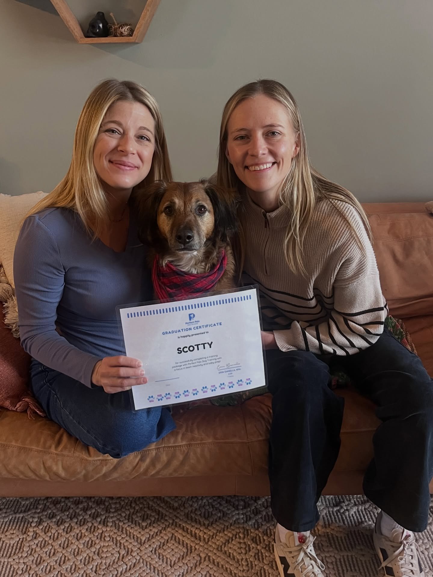 🥳Congrats to Scotty, Jill &amp; Alex on graduating today! 

💙These 3 have made so much progress and have worked very hard! Scotty has big feelings around dogs when on leash and at the window! He&rsquo;s been able to get much closer to dogs, meet a 