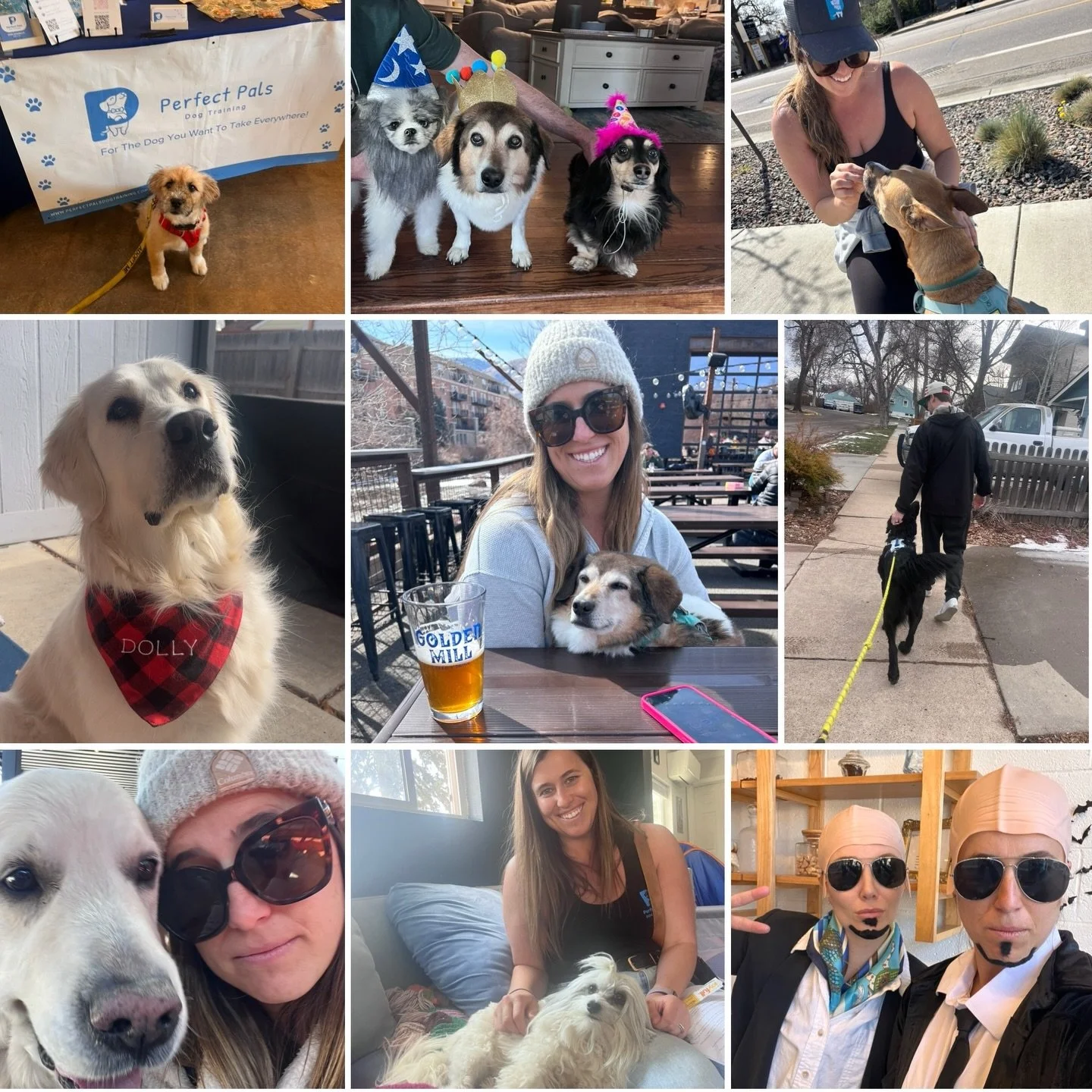 🥳Happy 5 years of Perfect Pals being in business!! 👏🏻 👏🏻 👏🏻 

💙This is a big one! Celebrating all the amazing dogs and humans I get to work with, all the fun events I get to do and how lucky I am that I get to call this my job! 

🙌🏻Thank yo