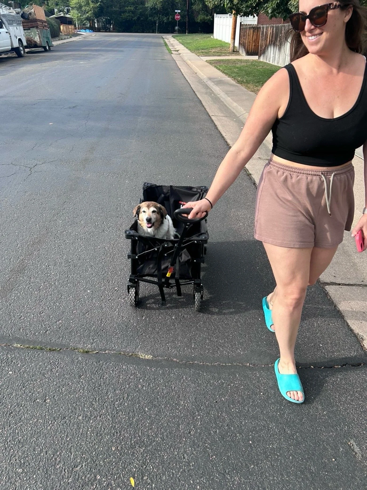 💙Taking our old boy for a wagon walk because senior pups still deserve to get outside, get some sniffs and watch the world go by! 

😊As our pups get older, enrichment and spending time with them is SO important! Helps keeps them young and happy! 

