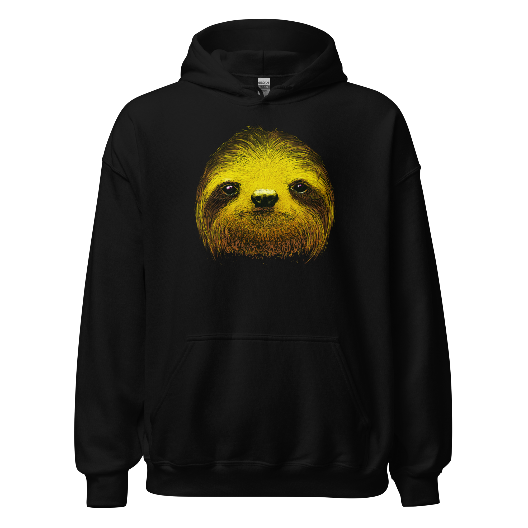 unisex-heavy-blend-hoodie-black-front-654a96854e63a.png