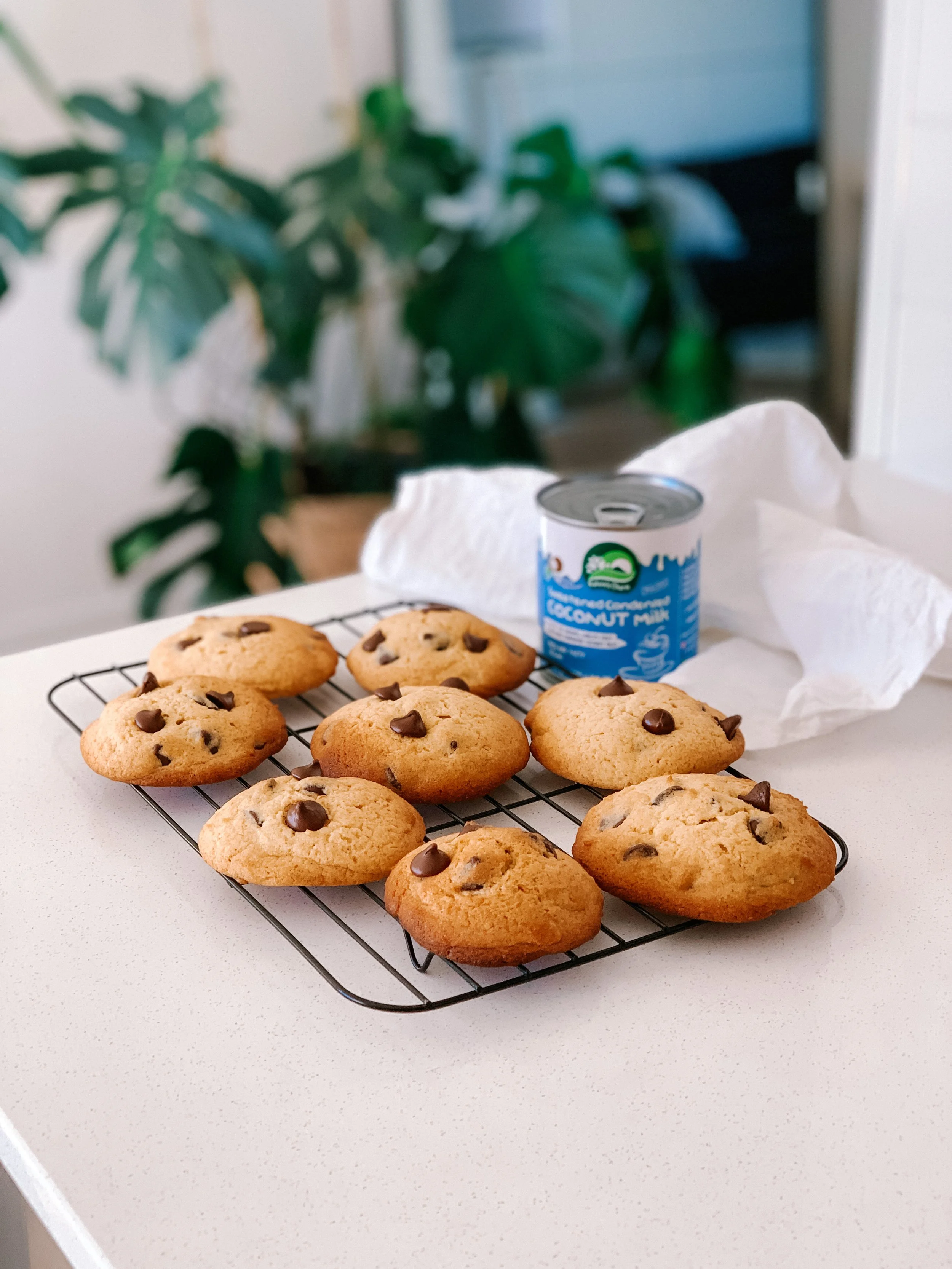 Chocolate Chip Cookie Recipe Condensed Milk Nz Besto Blog