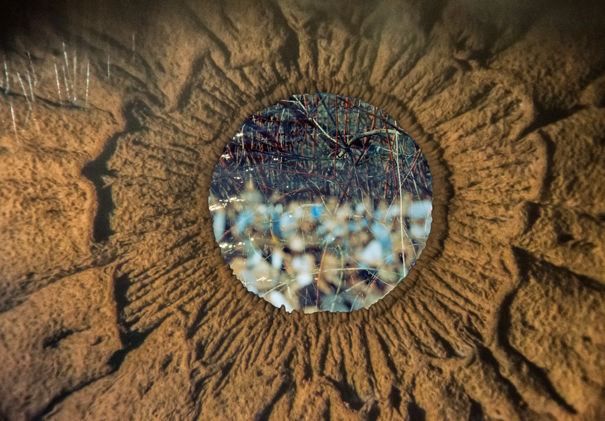Iris