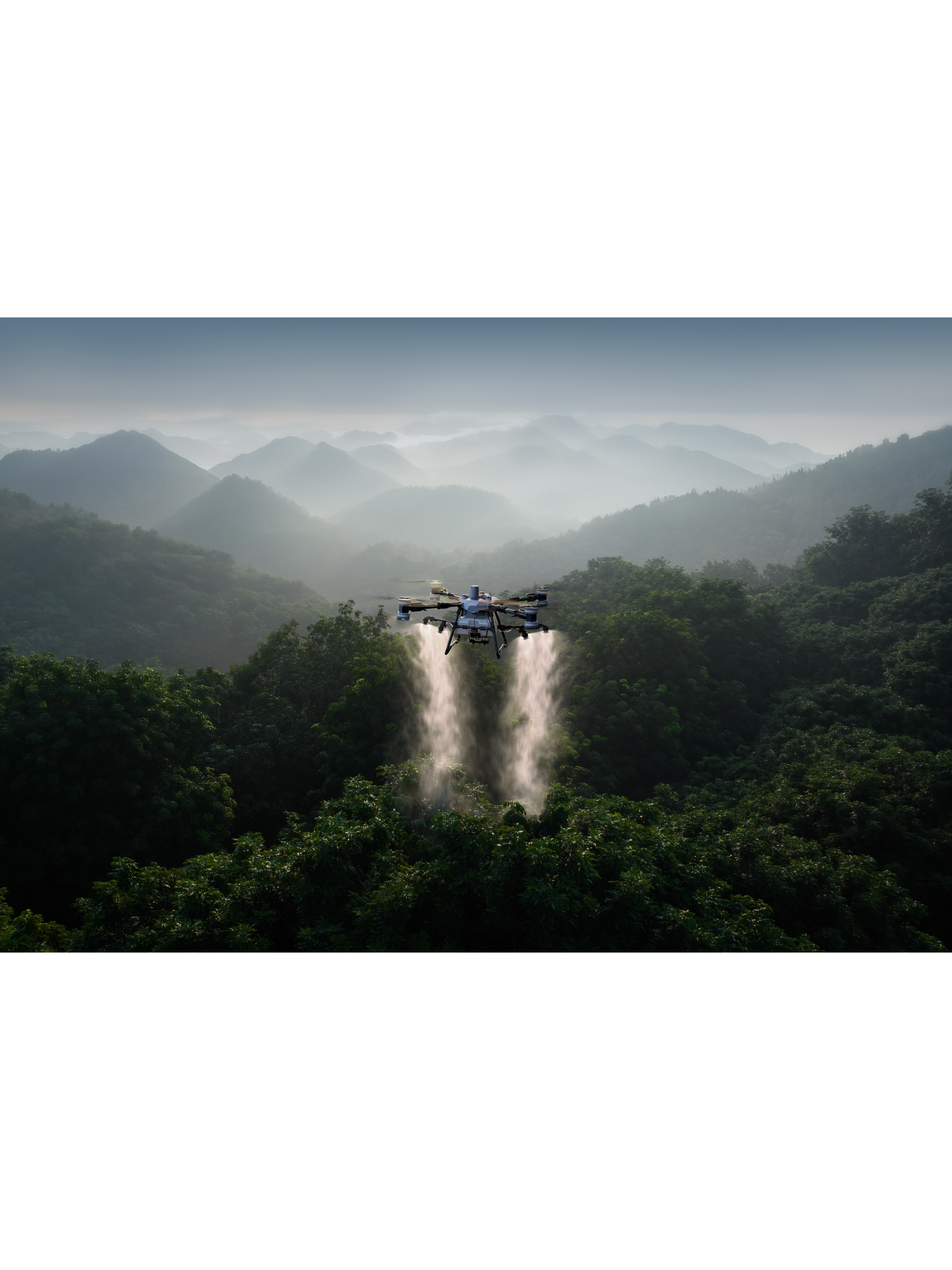 DJI Agras T100 Lychee Orchard Spraying