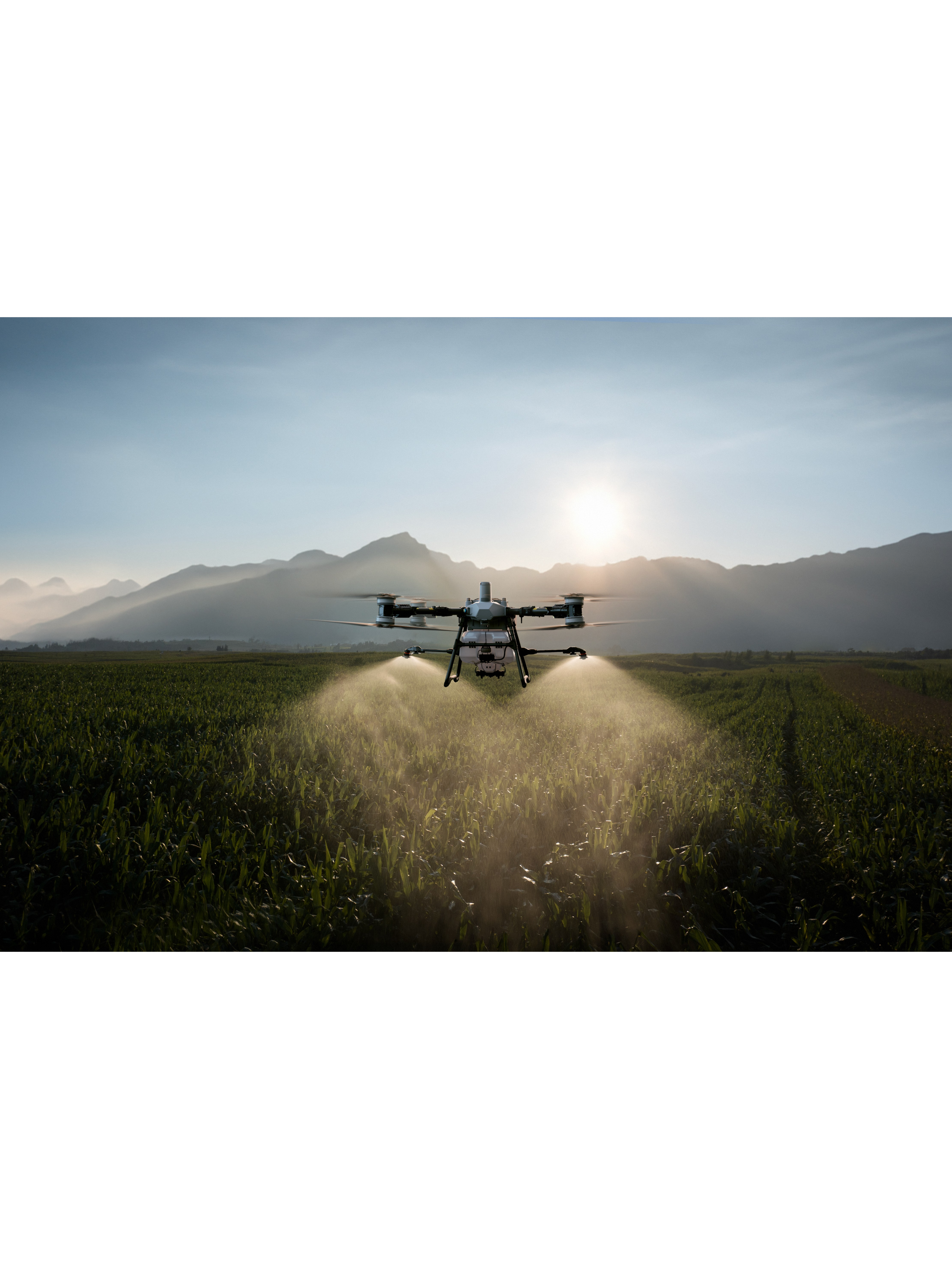 DJI Agras T100 Spraying and Seeding Crop Field