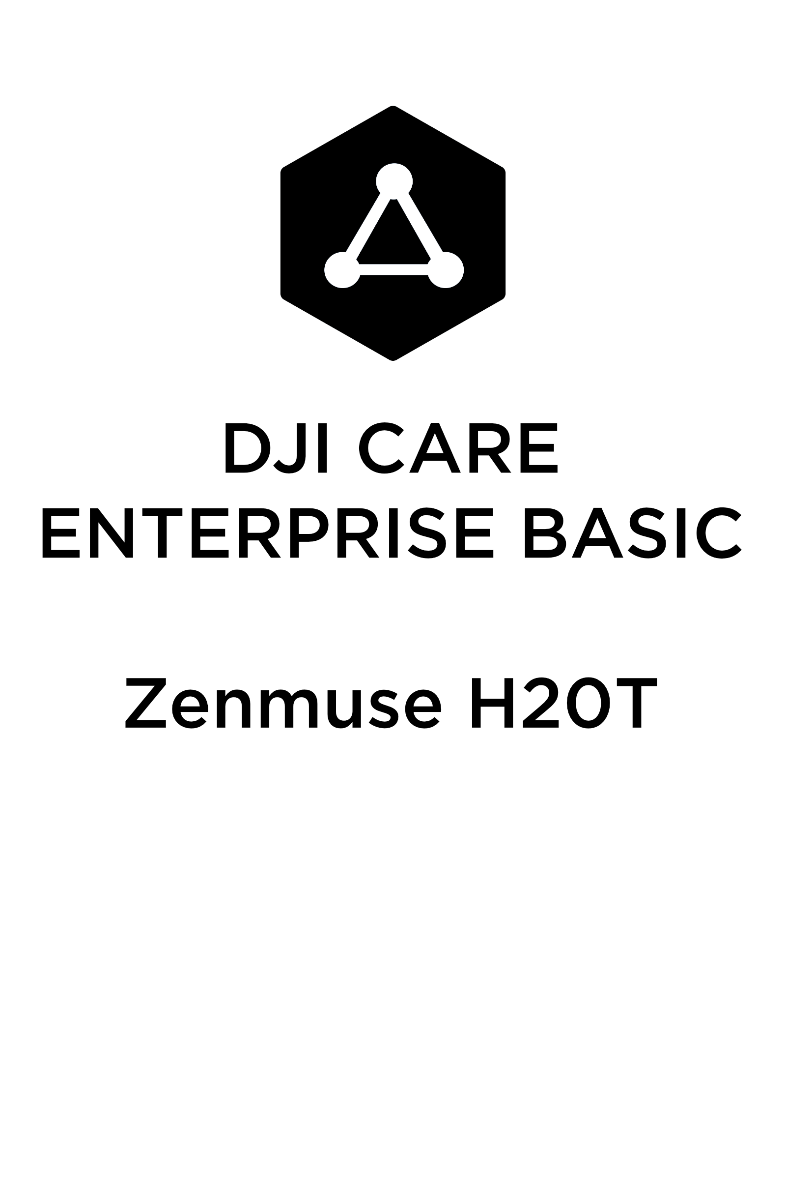 DJI CARE ENTERPRISE BASIC Zenmuse H20T.png
