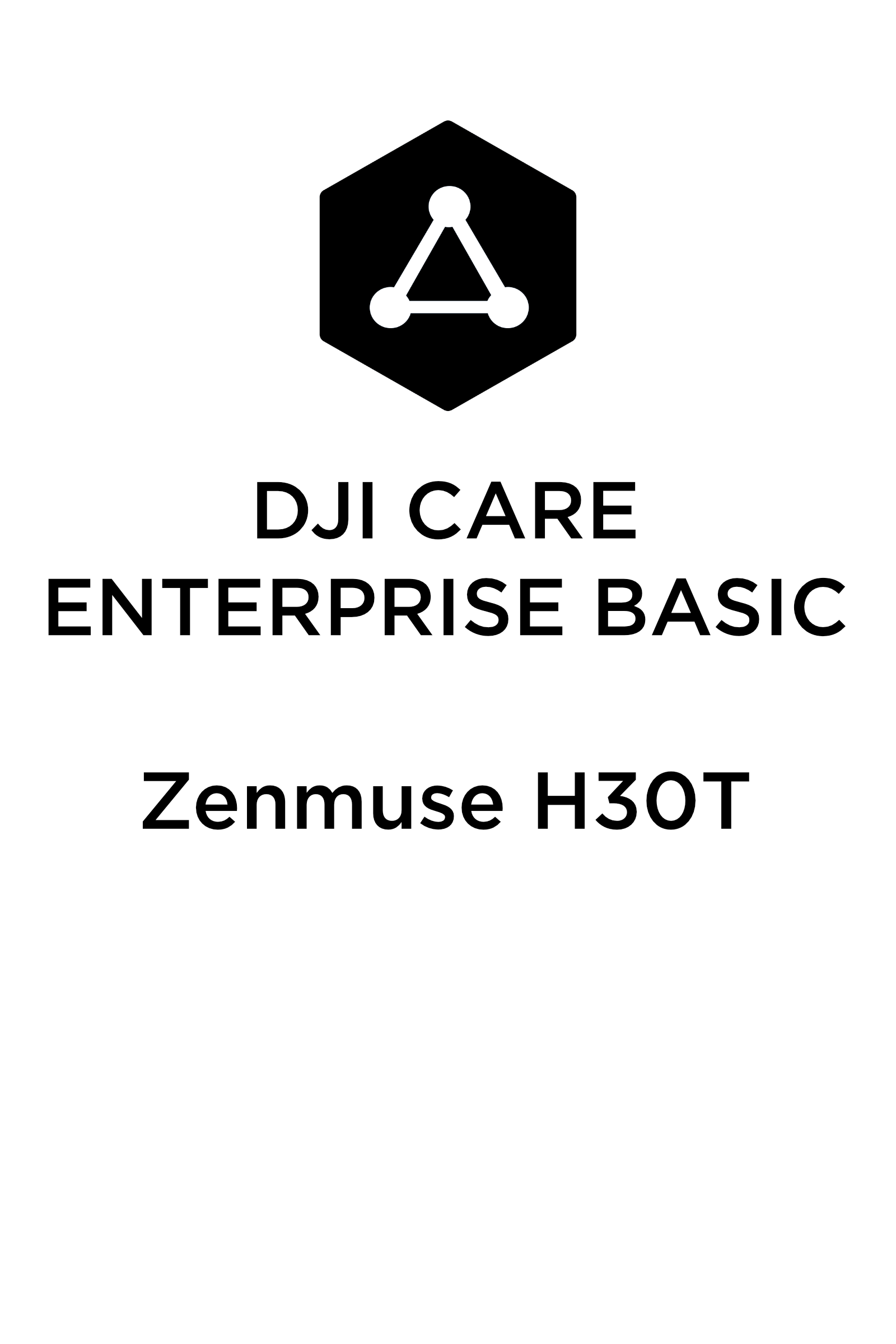 DJI CARE ENTERPRISE BASIC Zenmuse H30T.png
