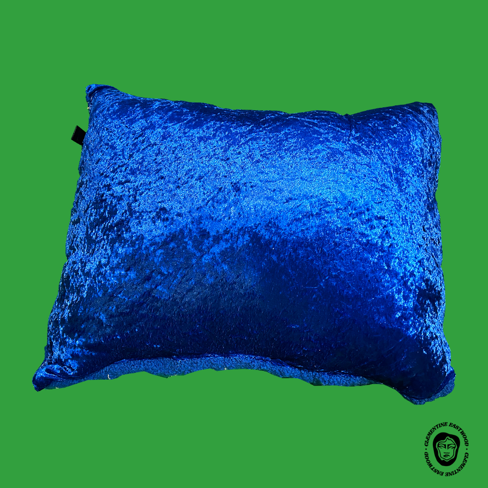 DRAGON CUSHION 1.1.png