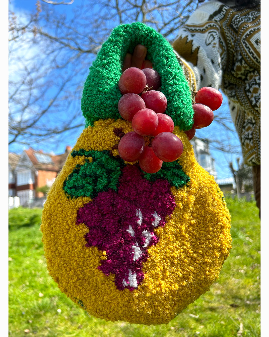grape bag 1.png