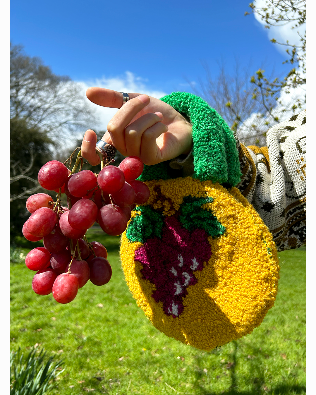 grape bag 2.png