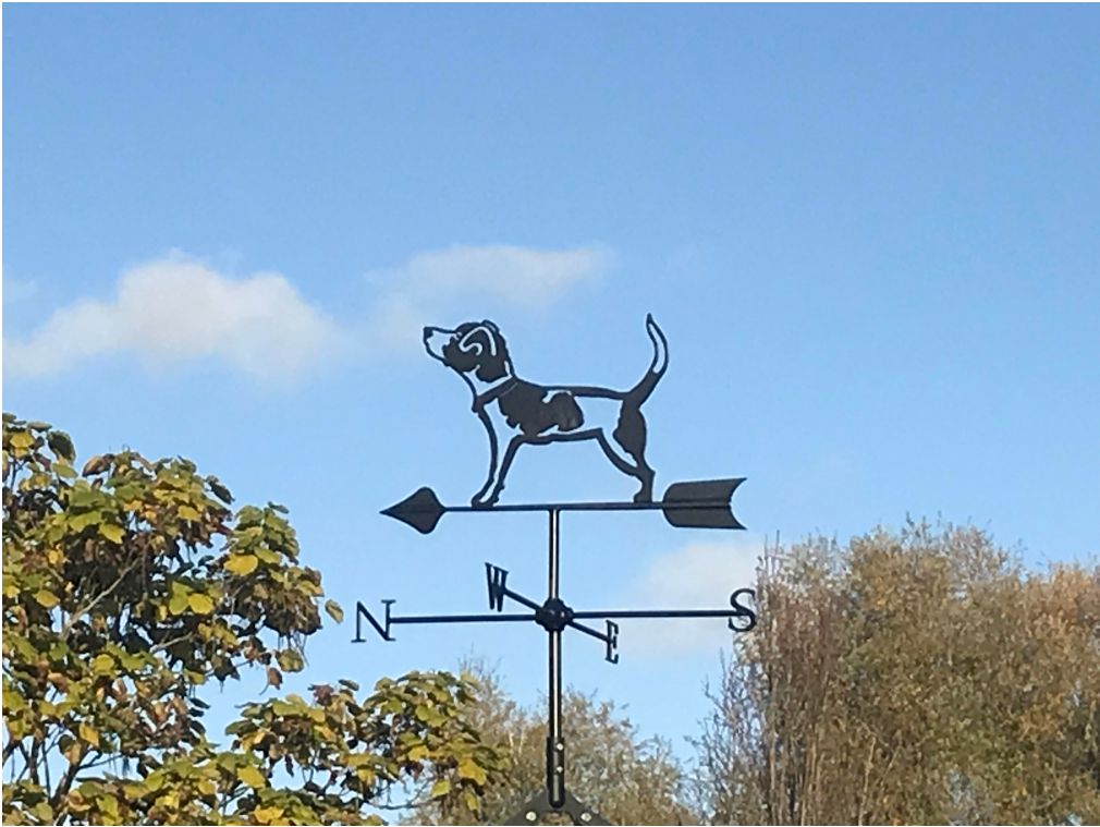 Weather vane image.png