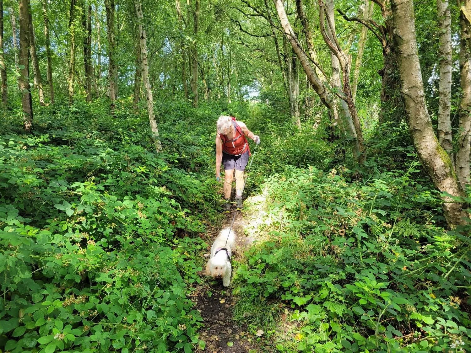 Sibelco Permissive Path 2025