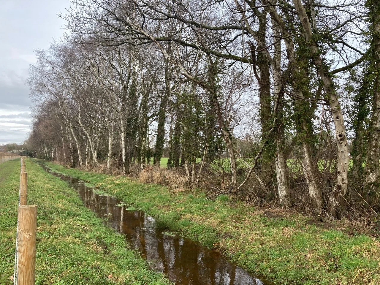 Quarry Link Path- Ken Morris