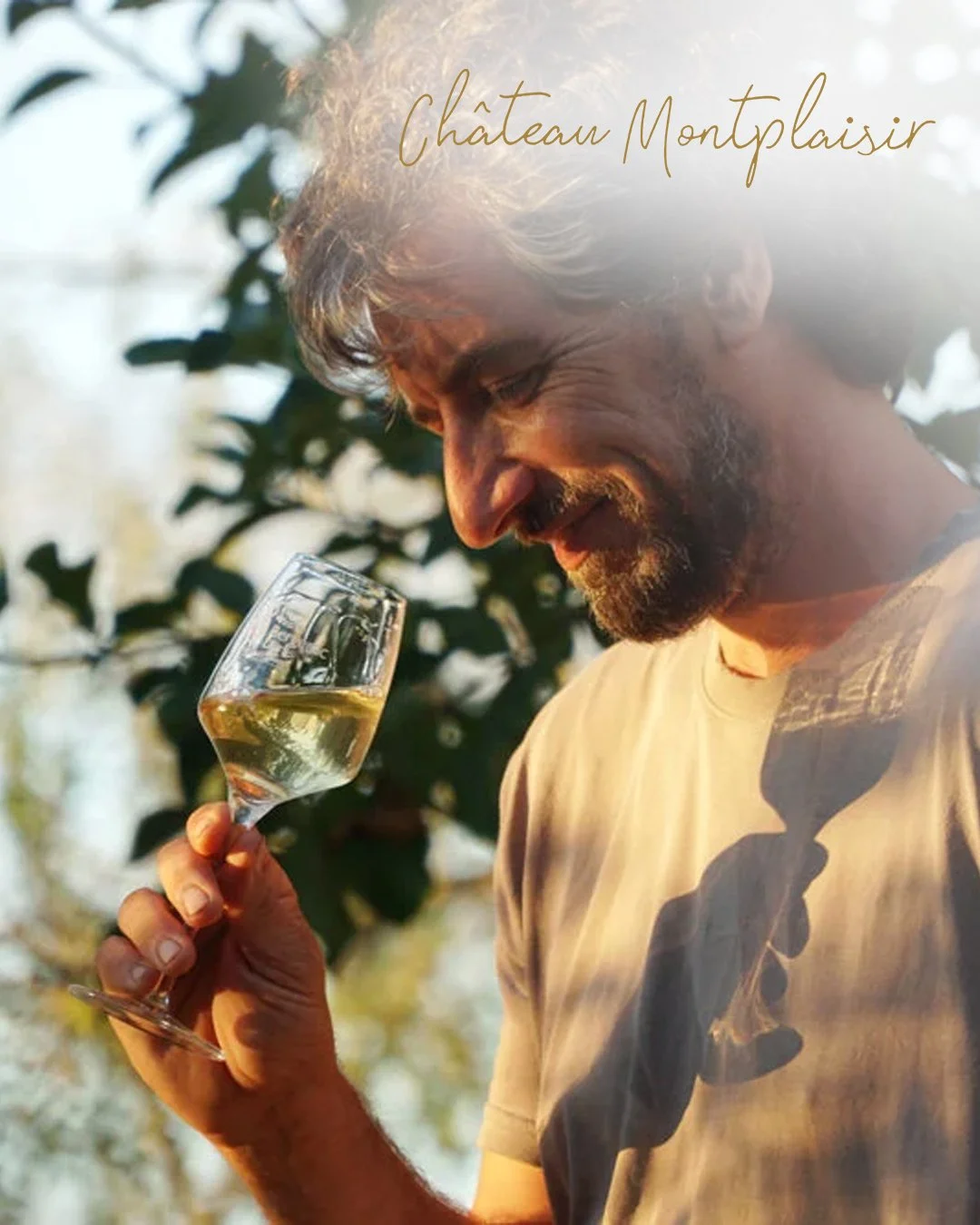 Chateau Montplaisir