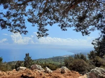 Zypern-Seminar: Seelenpräsenz