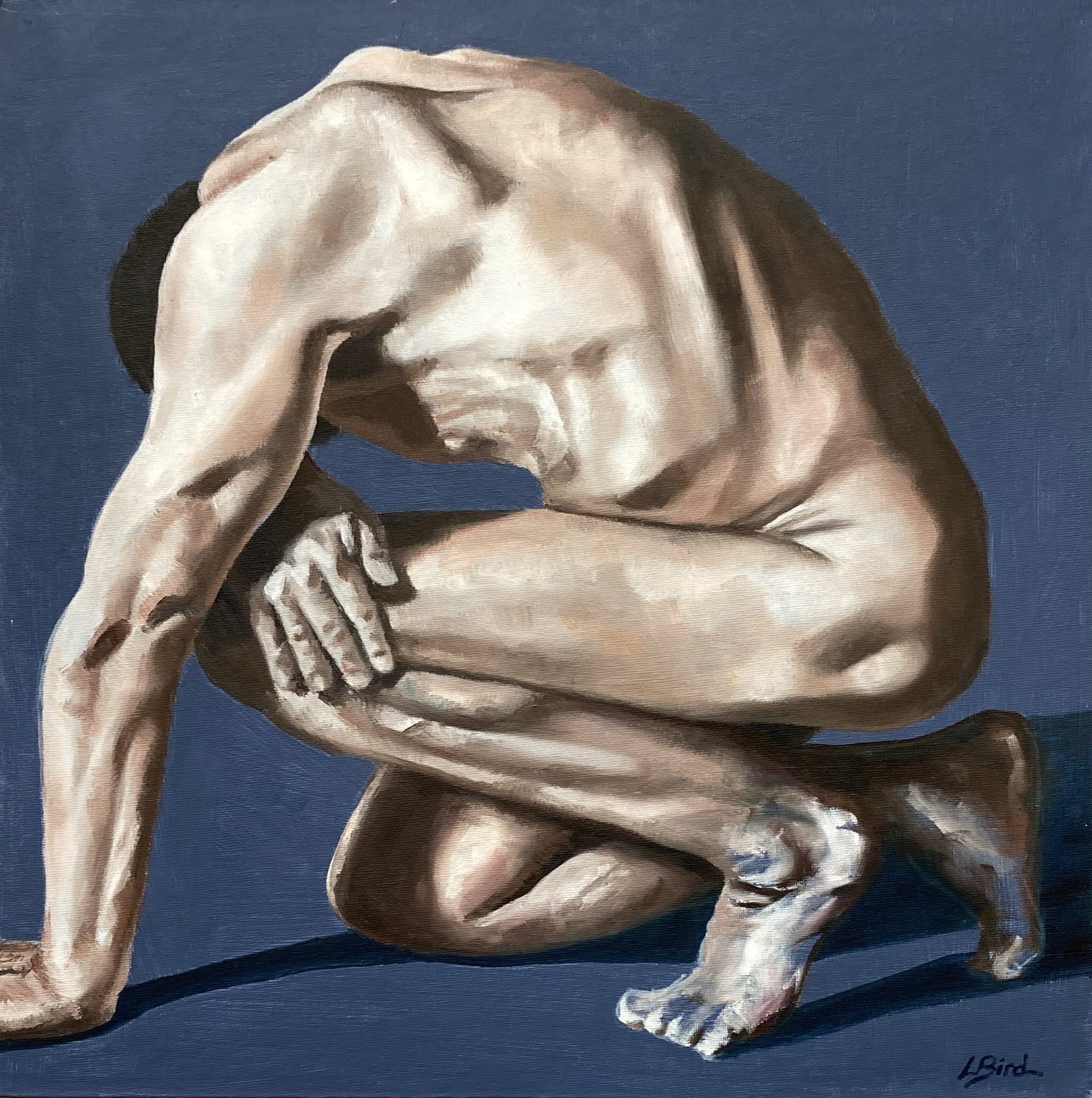 Male study on blue
50 x 50cm Oil on board
£300