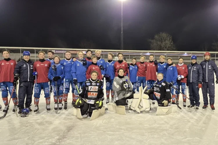 Ungdomskollen tittar till P16/17