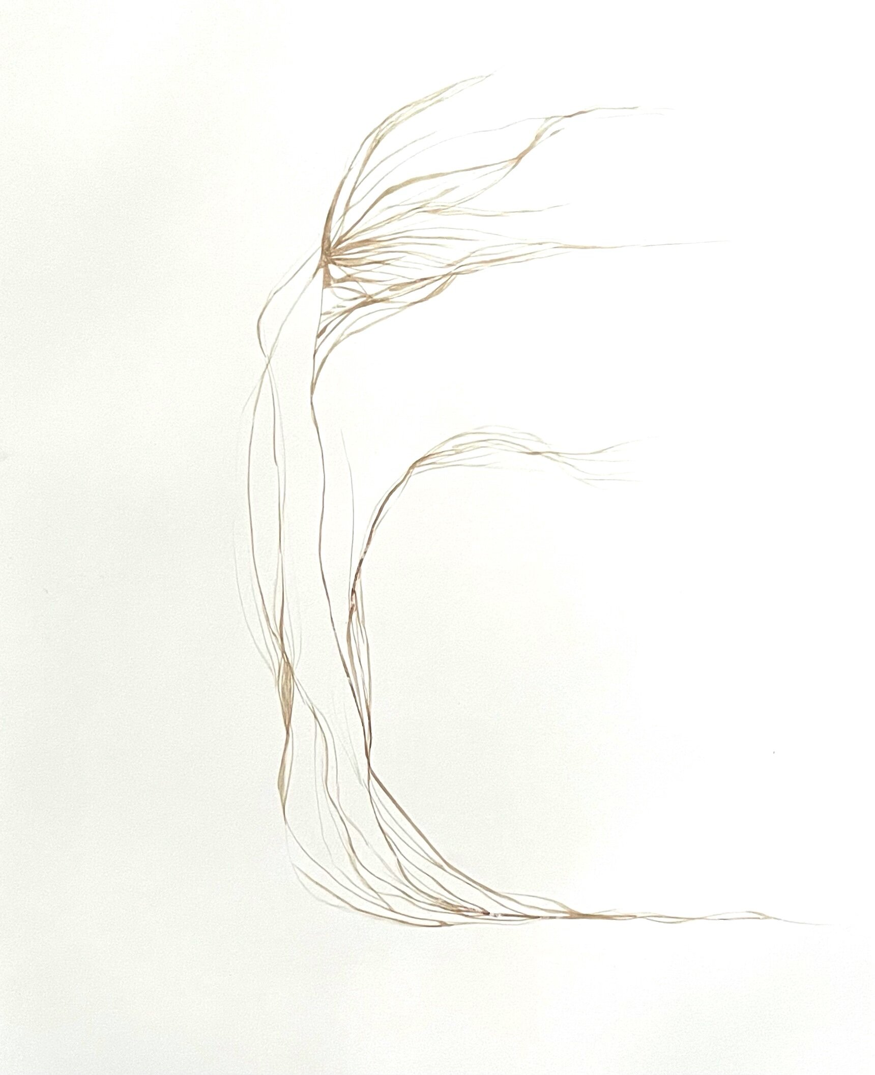 ’Wind,’ 2019. Watercolor on paper, 30 x 22.5 in.