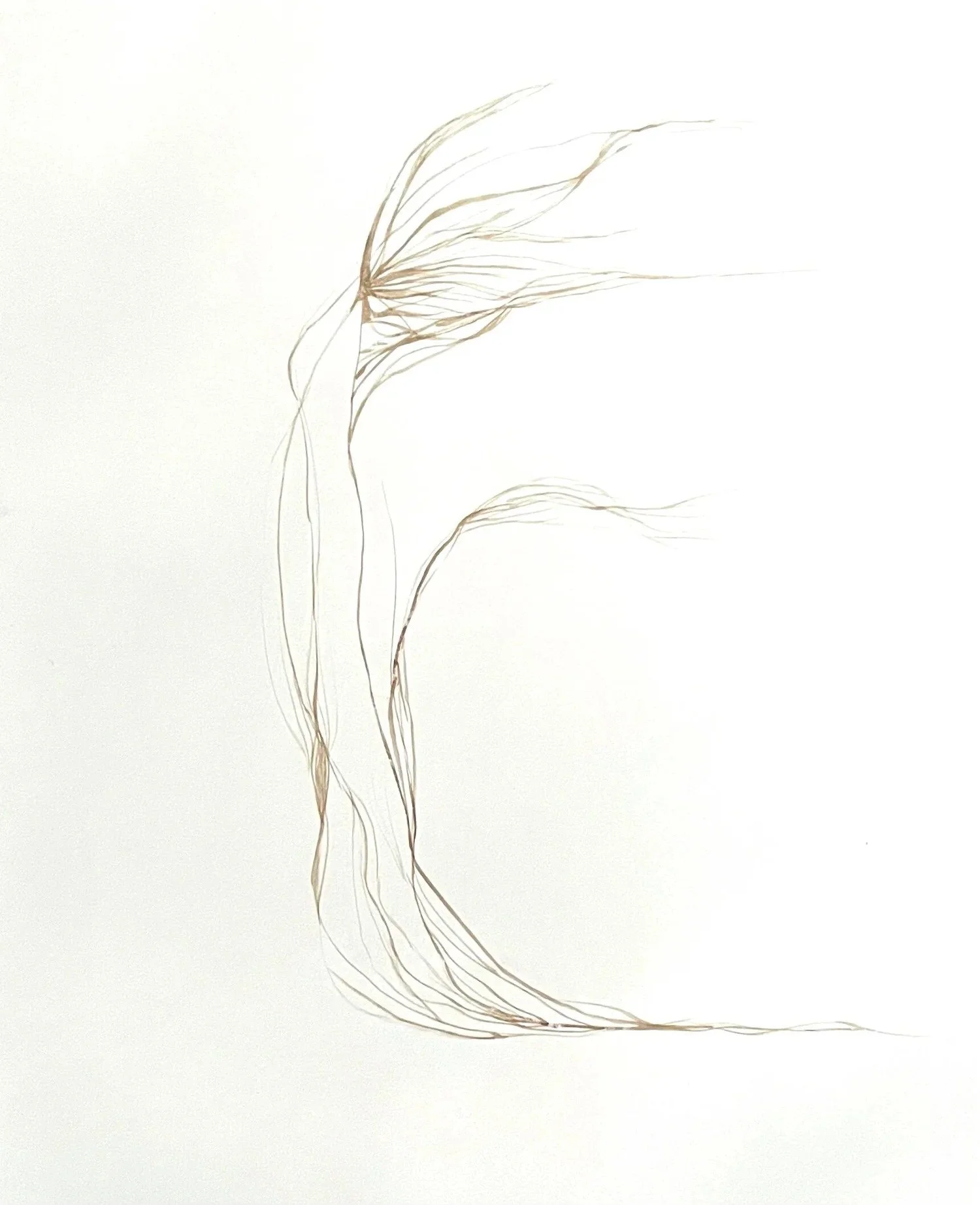 Wind, painting by Eva Zasloff. 2019. Watercolor on paper, 30 x 22.5 in.
