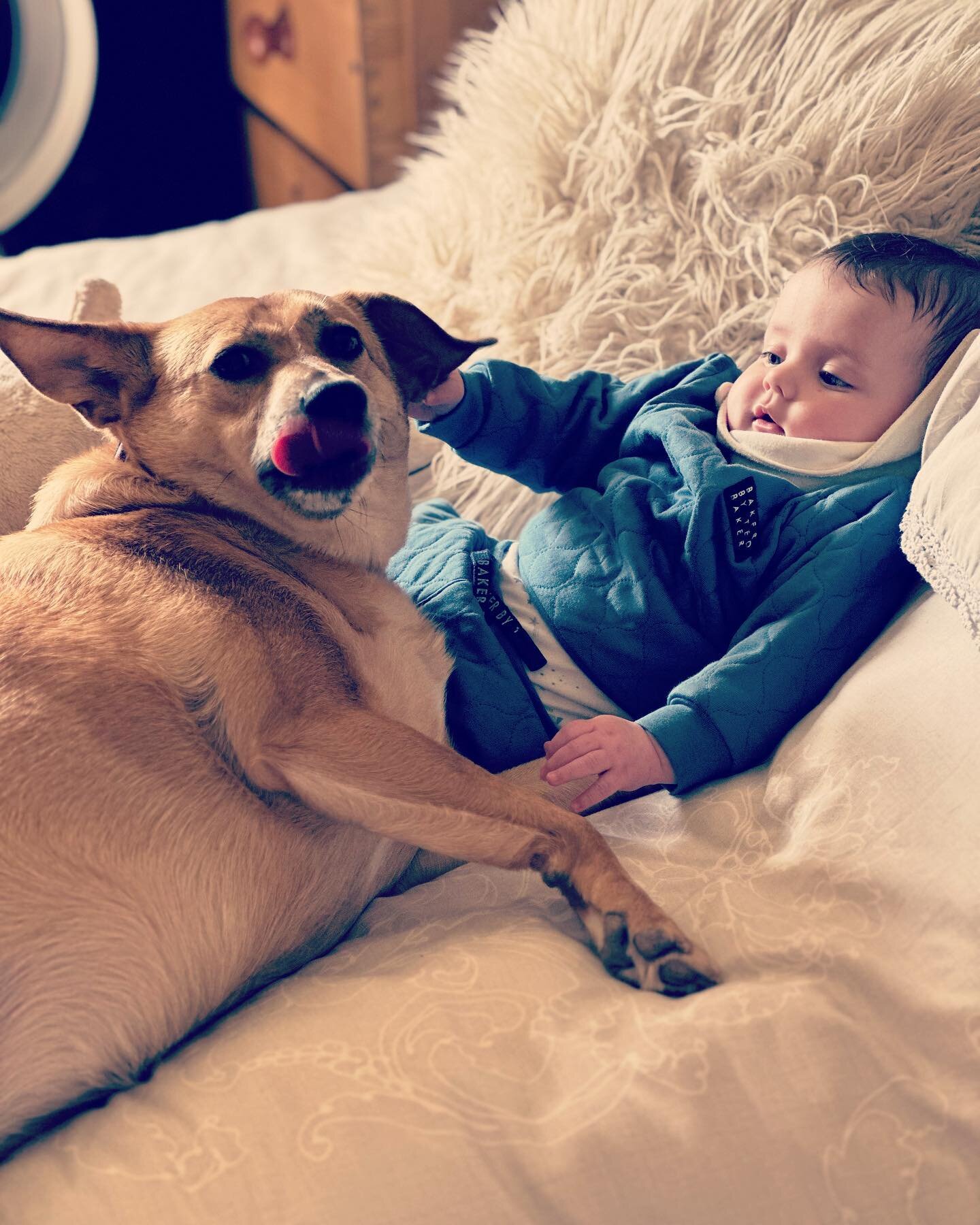 Manbaby&rsquo;s Best Friend! 
My Grandson learning that Dogs are Simply the Best! 
Daisy &amp; River 🐾💙
Happy Monday to all my fellow Dog Lovers! 🐾🐾🐾🐶🐶🐾🐾🐾