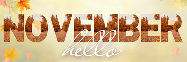NOVEMBER NEWSLETTER