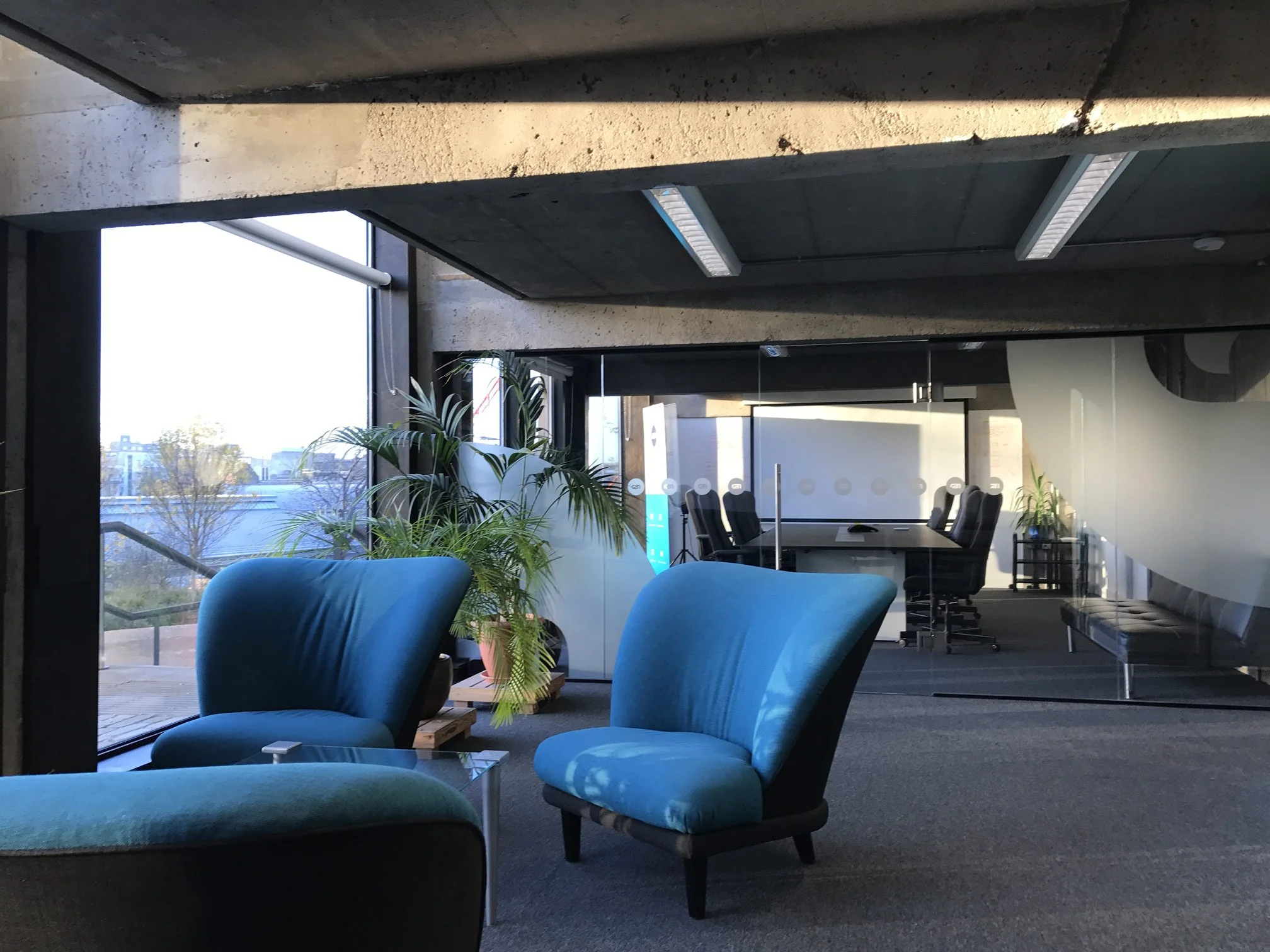 A modern office conference room with large windows, blue armchairs, a glass coffee table, potted plants, and a meeting table with black chairs.